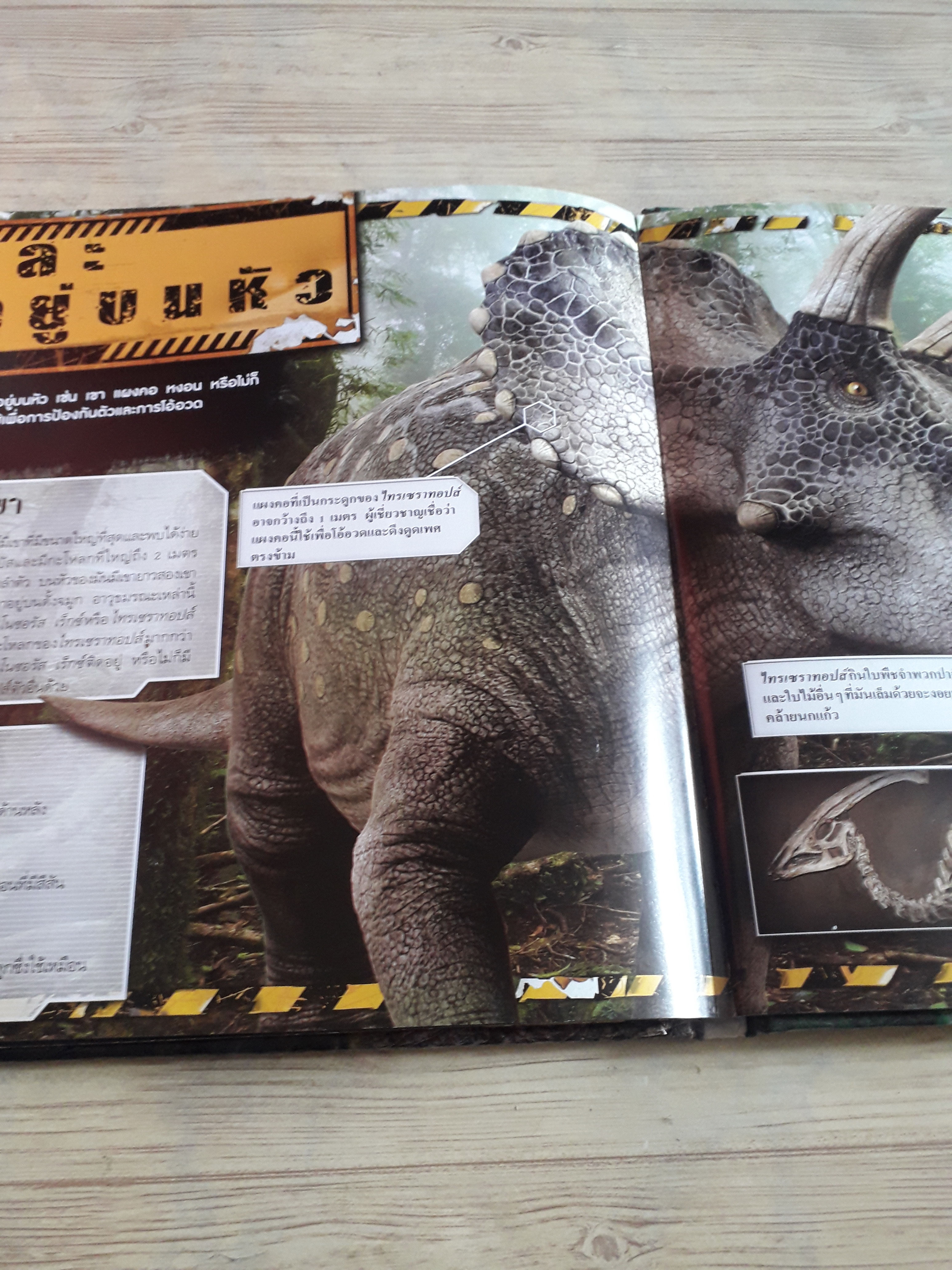 iDinosaur ไดโนเสาร์ทะลุจอ Carlton Book เรื่อง ชวธีร์ รัตนดิลก ณ ภูเก็ต แปล