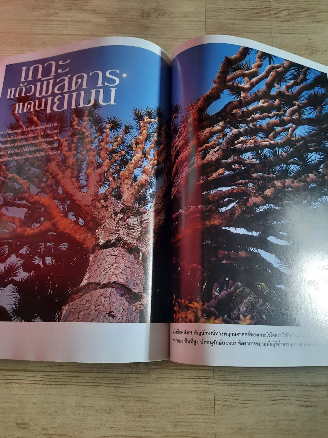 NATIONAL GEOGRAPHIC ฉบับภาษาไทย มิถุนายน 2555 คืนสีสันและชีวิตให้กองทัพนักรบดินเผาแห่งจิ๋นซีฮ่องเต้