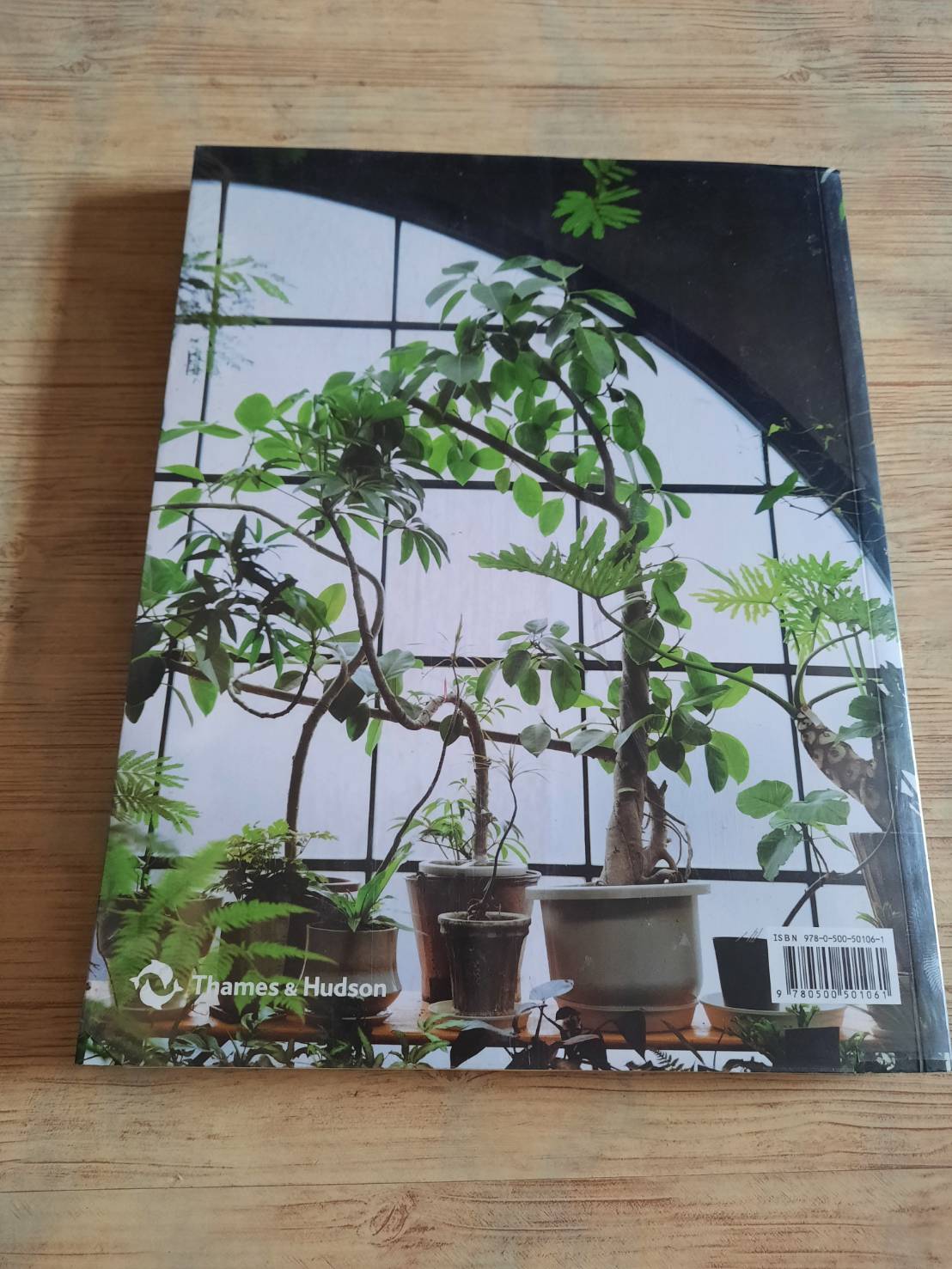 Indoor Green Living with Plants By Mr.Kitly's Bree Claffey Photography By Lauren Barnford