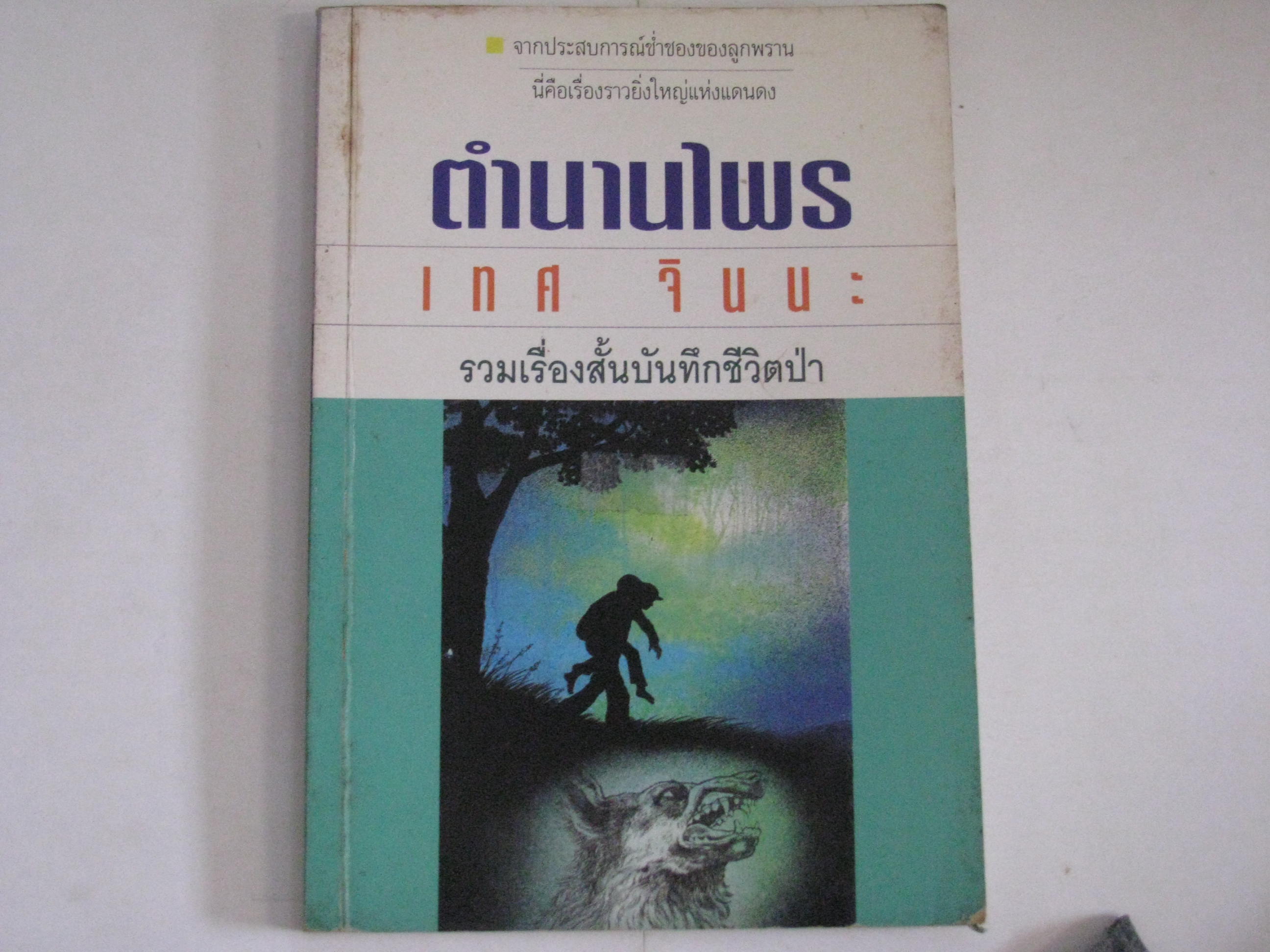 ตำนานไพร เทศ จินนะ เขียน**สินค้าหมด**