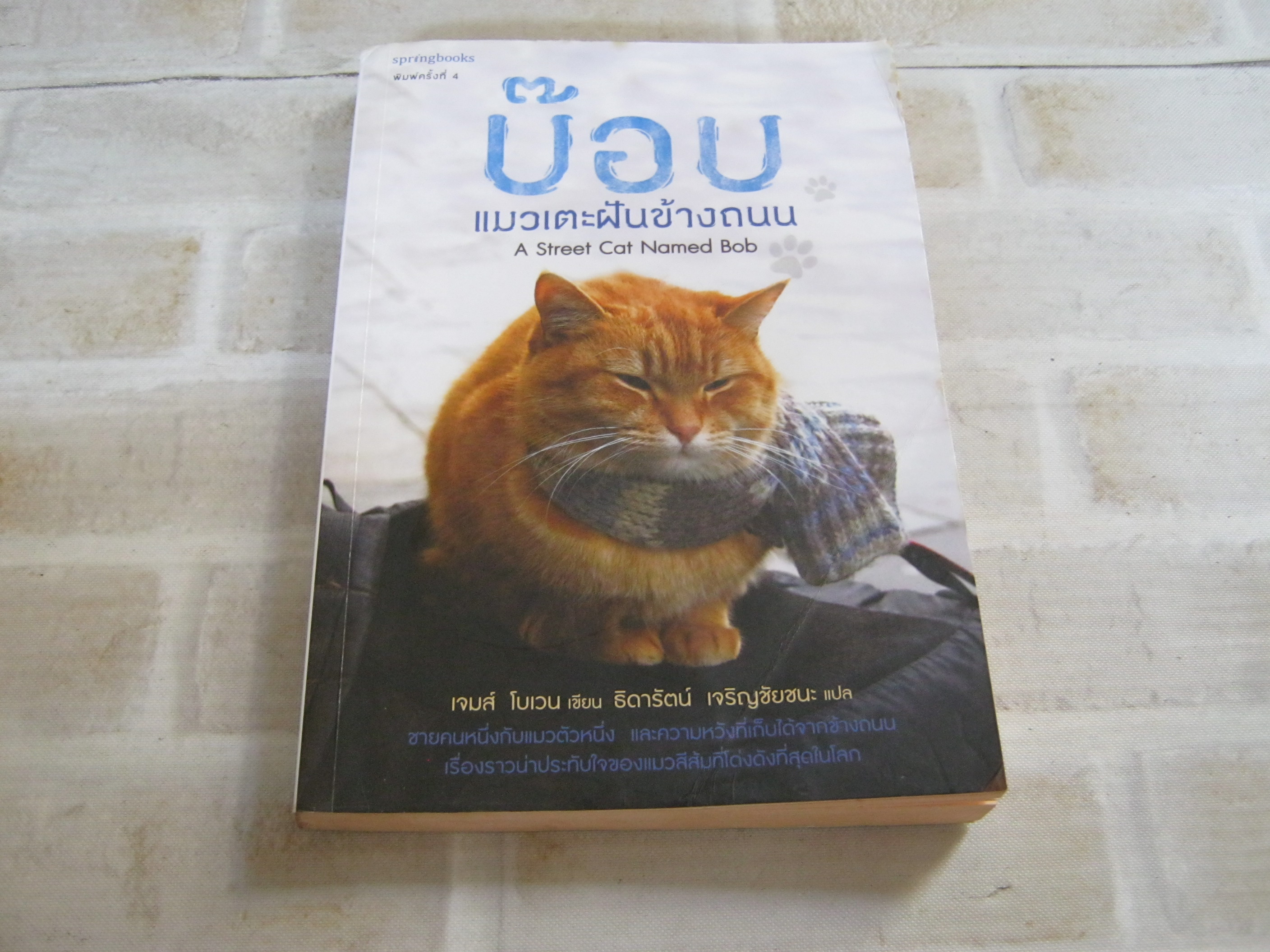 บ๊อบ แมวแตะฝันข้างถนน (A Street Cat Named Bob) พิมพ์ครั้งที่ 4 เจมส์ โบเวน เขี่ยน ธิดารัตน์ เจริญชัยชนะ แปล***สินค้าหมด***