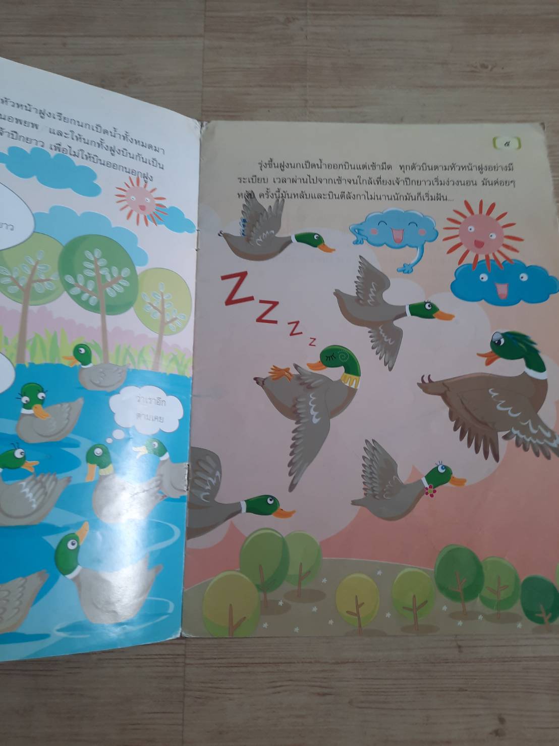 ปีกยาวตีลังกา วิภา ตัณฑุลพงษ์ เรื่อง กลุ่มต้นข้าว ภาพ