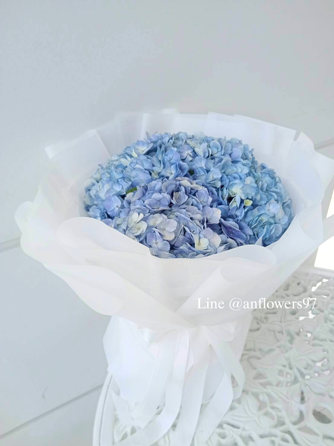 ช่อดอกไม้สีฟ้า ดอกไฮเดรนเยีย