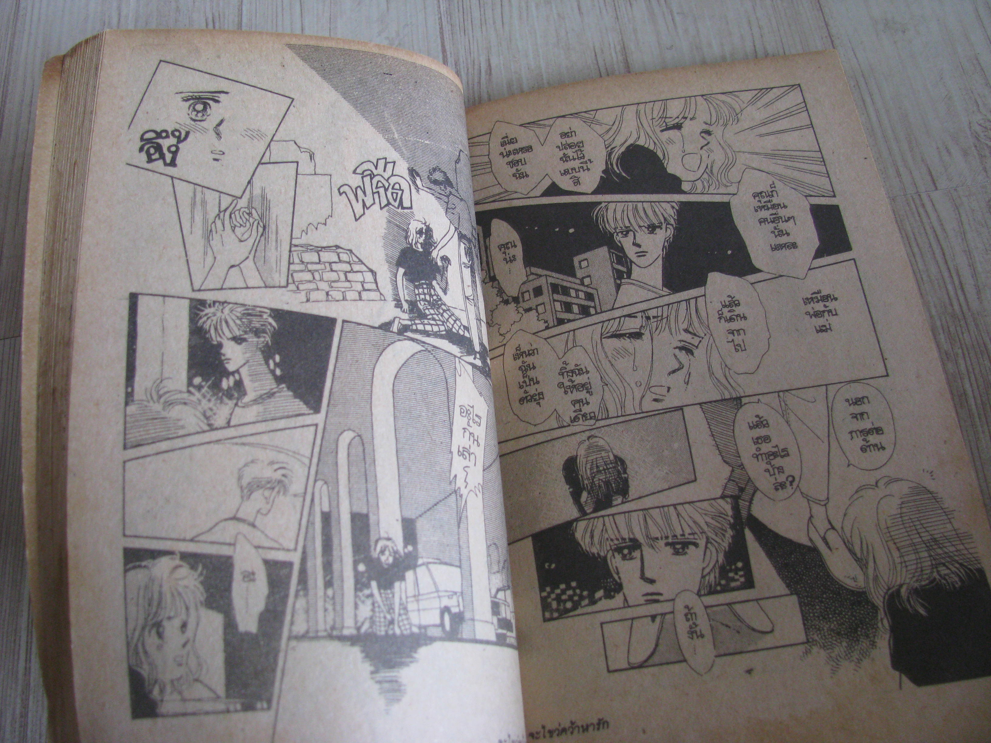 จะไขว่คว้าหารัก เล่มเดียวจบ Ono Kanae เขึยน