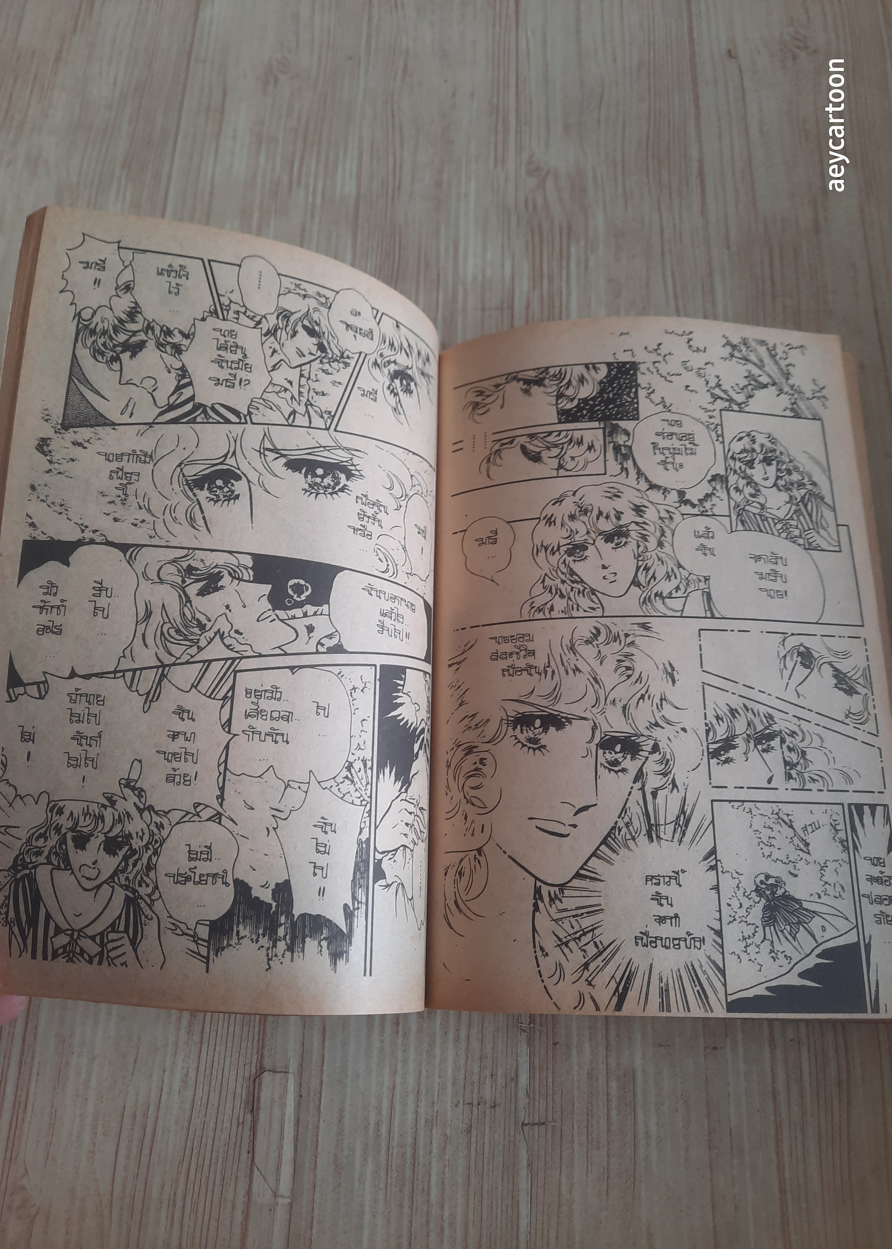 หวานใจนักรบ เล่มเดียวจบ Shinozaka Kaoru เขียน