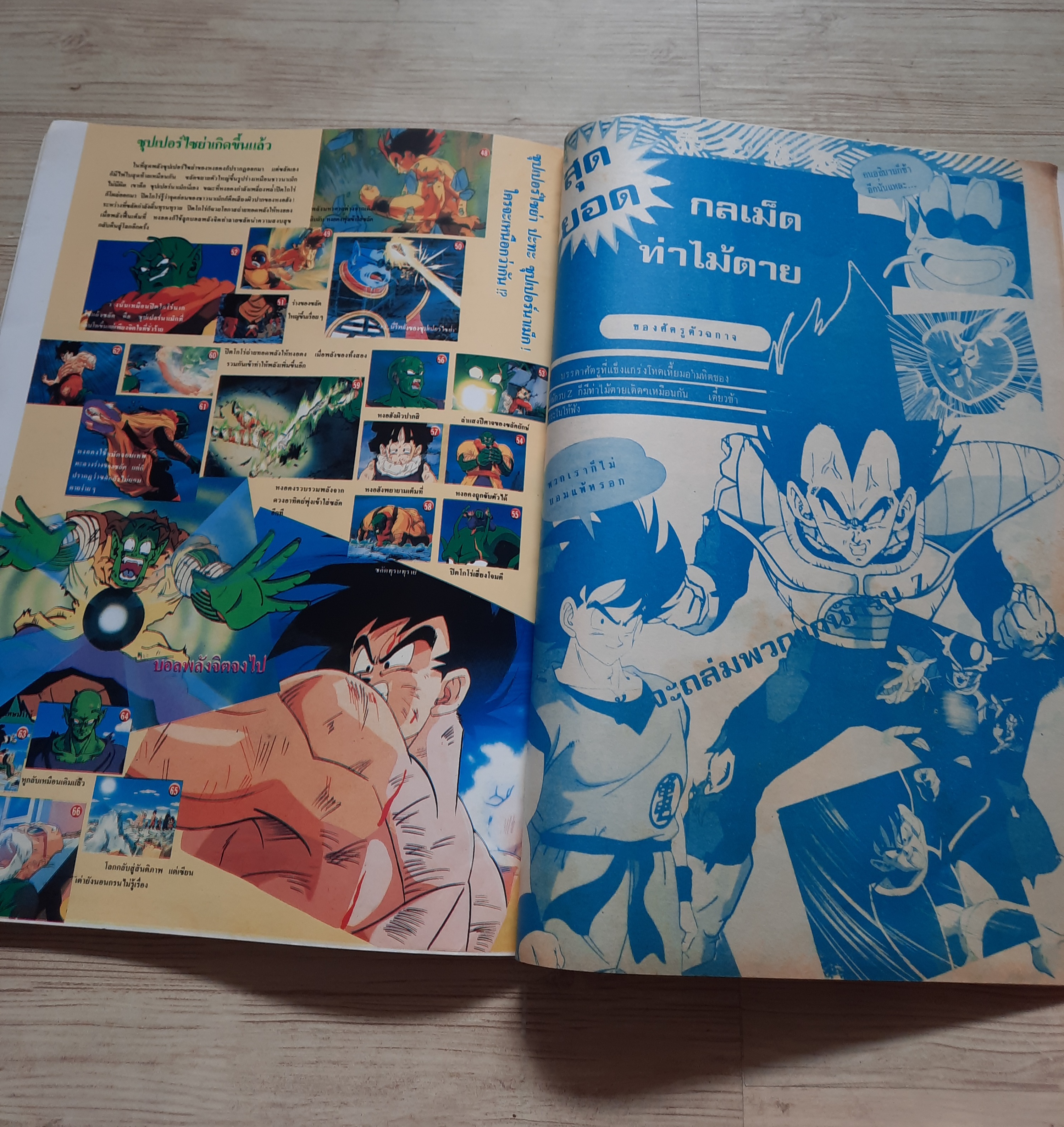 หนังสือรวมภาพ DRAGONBALL Z (เล่มใหญ่)