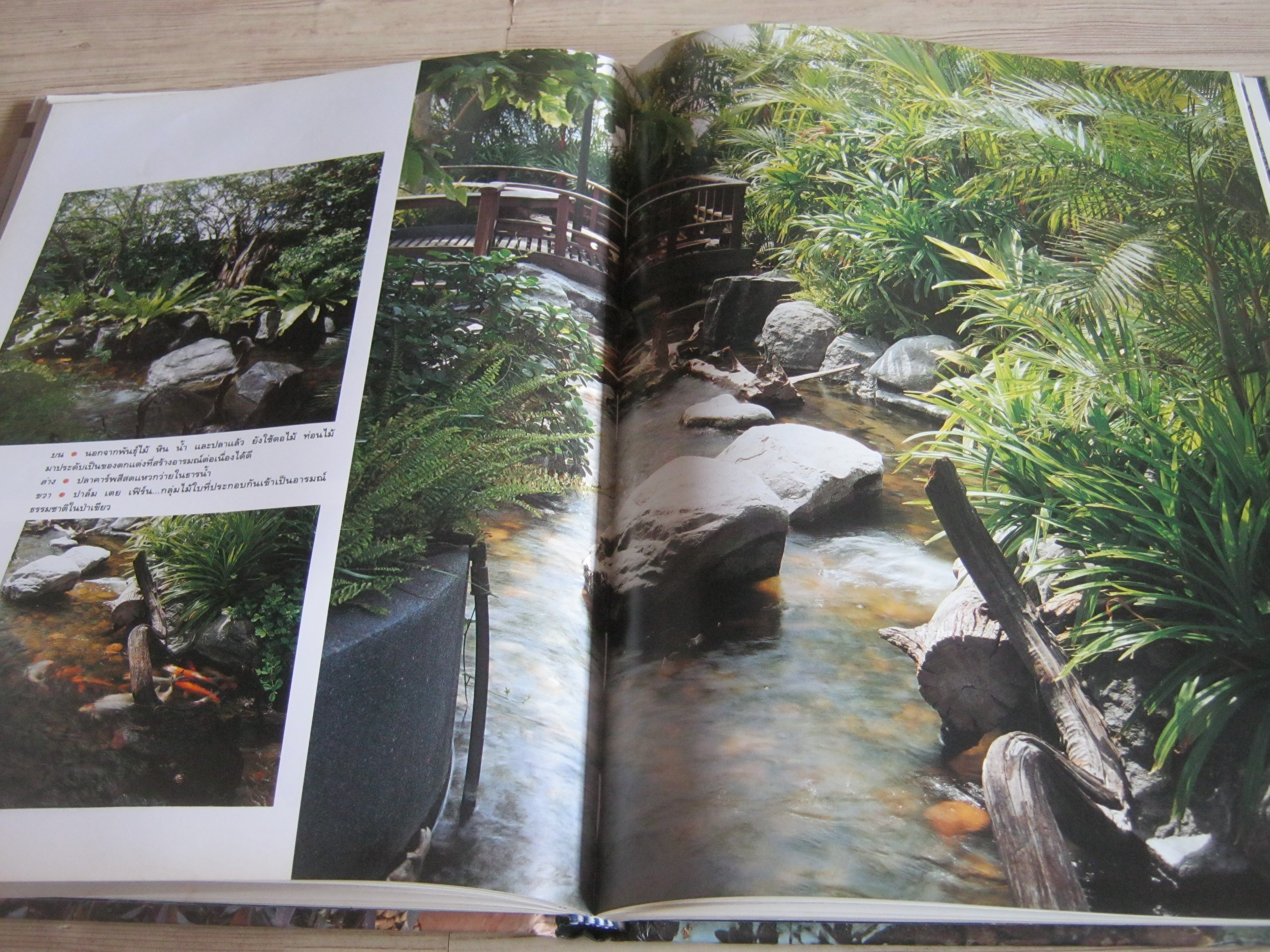 คู่มือการจัดและตกแต่ง สวนในบ้าน เล่ม 2 พิมพ์ครั้งที่ 12 โดย กองบรรณาธิการนิตยสารบ้านและสวน