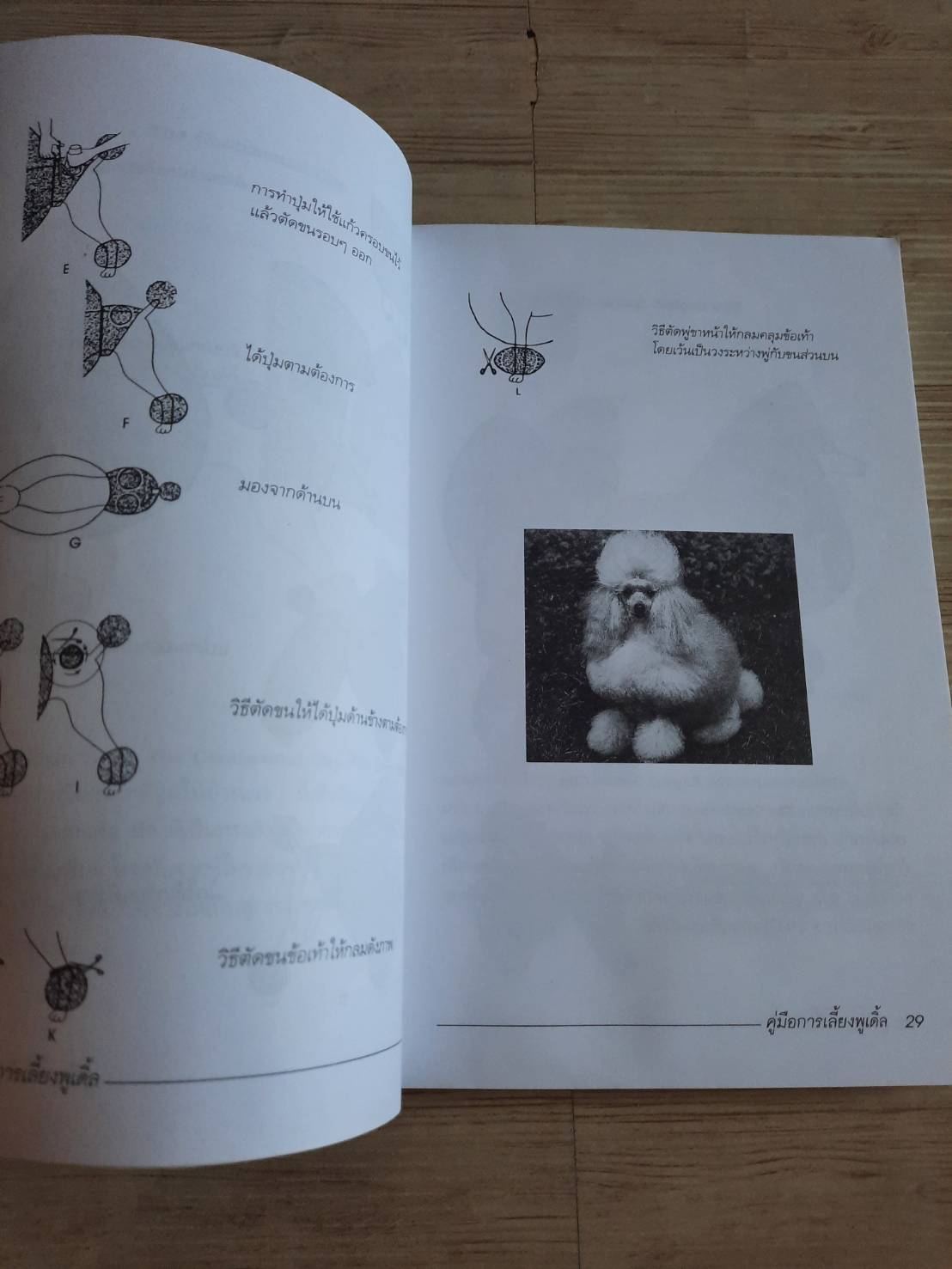 คู่มือการเลี้ยงพูเดิ้ล โดย วิชัย คูสกุล