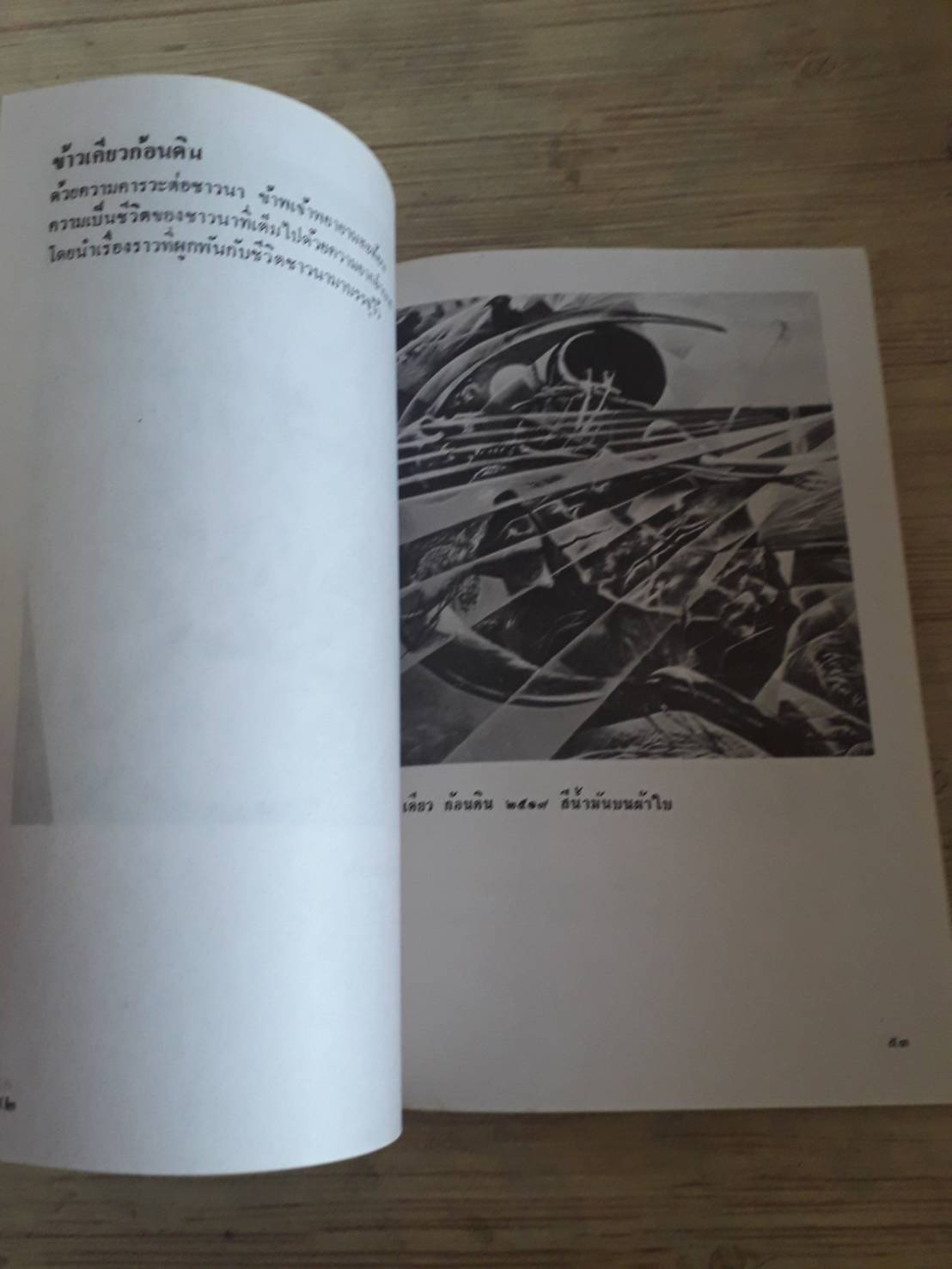 ธรรมชาติ ชีวิต ศิลป รวมผลงานศิลปยุคค้นถึงปัจจุบัน 06-23 ของ ประเทือง เอมเจริญ***สินค้าหมด***