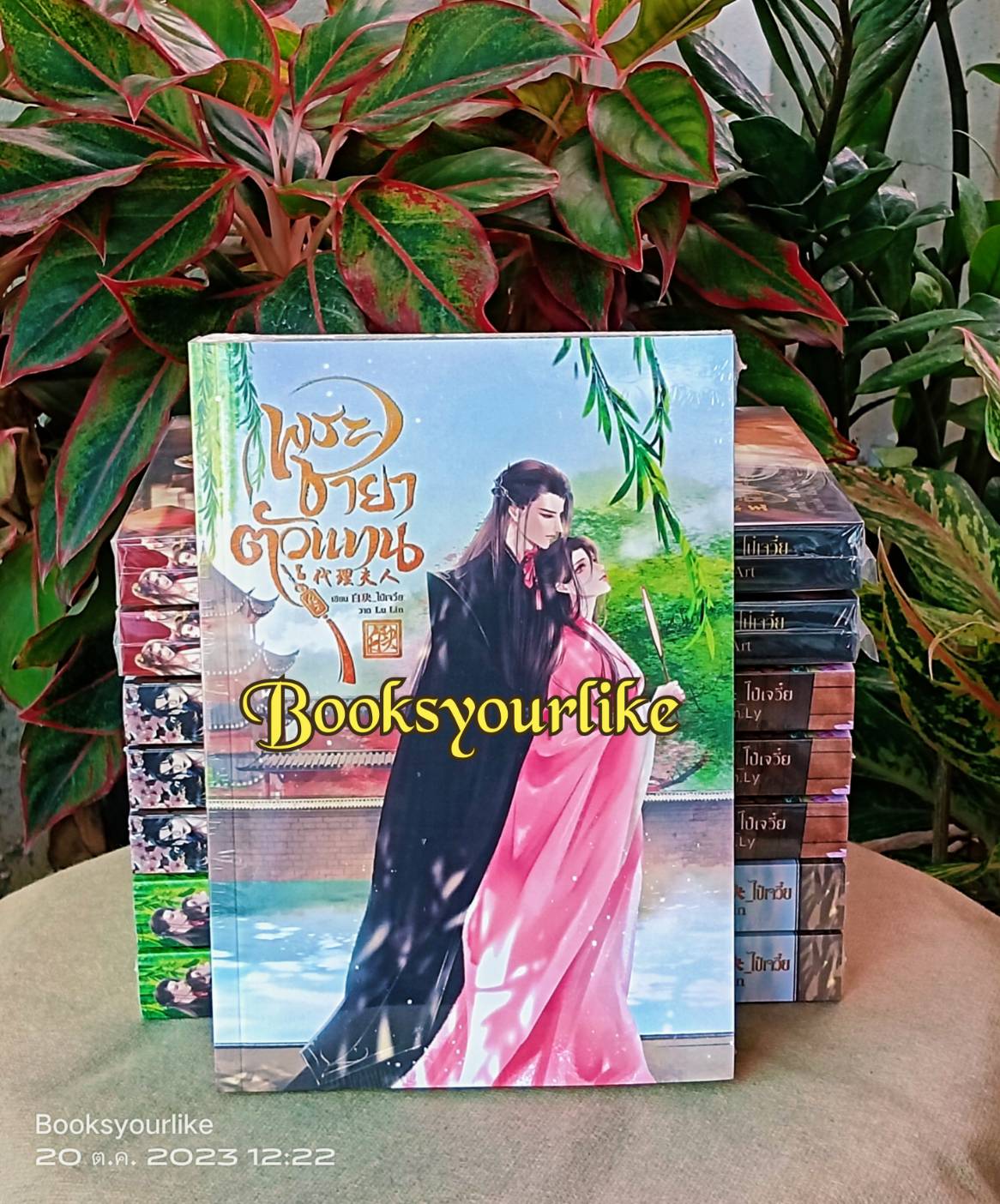 พระชายาตัวแทน,ผู้แต่ง,ไป๋เจวี๋ย,นิยายรักทำมือจีนโบราณ,แนะนำค่ะ