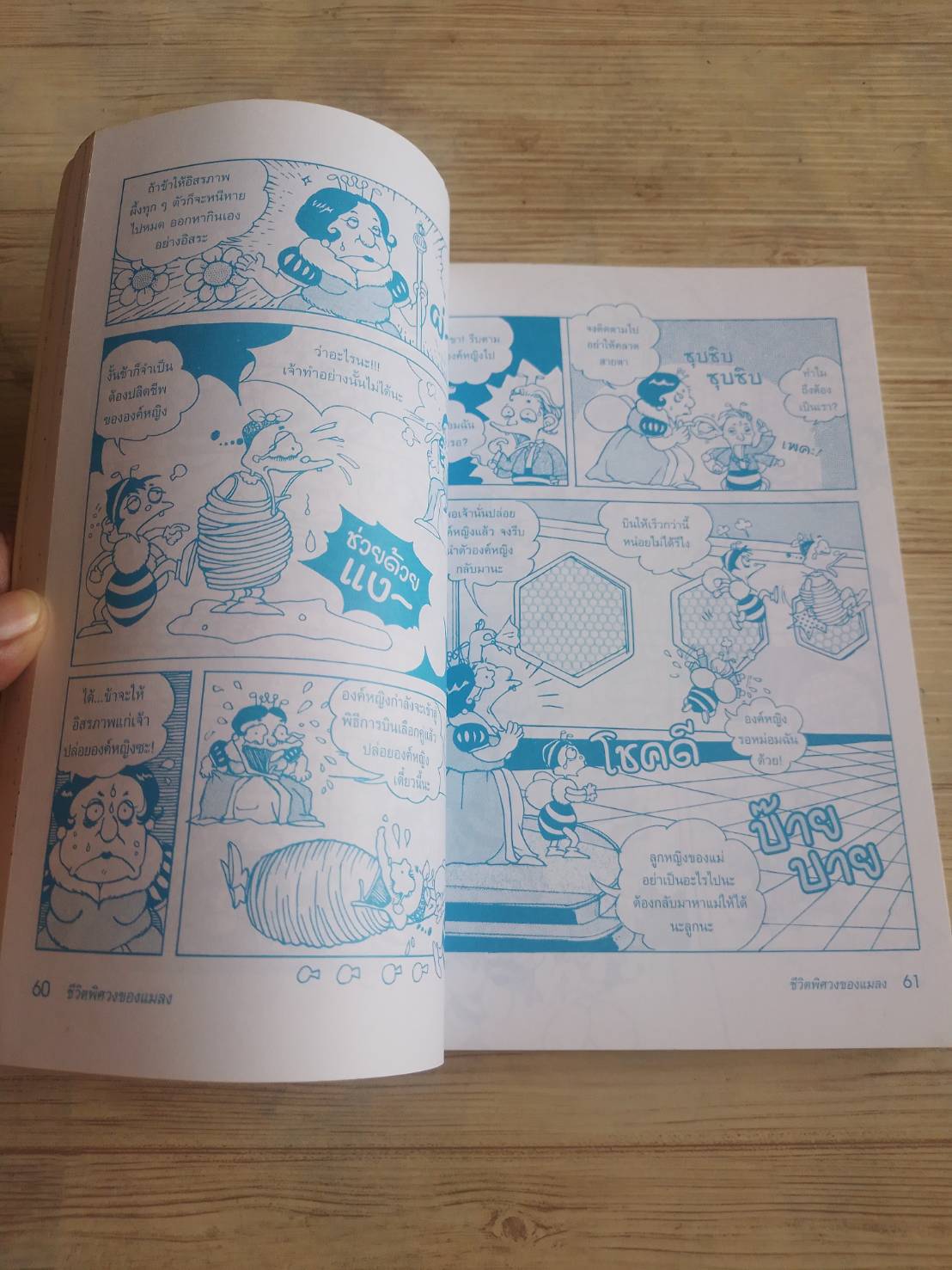 ชีวิตพิศวงของแมลง คิม ซู อัน เรื่อง ผศ.อุไรวรรณ จิตเป็นธม คิม แปล