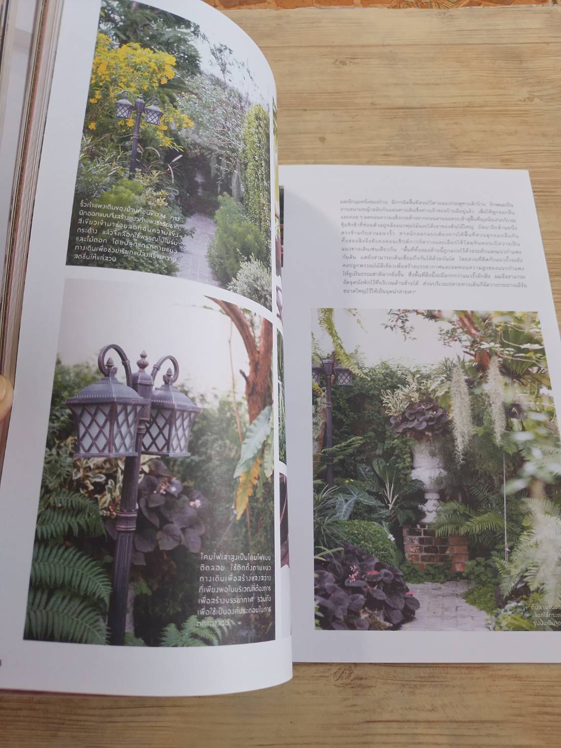 my home ฉบับที่ 99 Oct-Nov 2018 Mini Glasshouse โรงเรือนขนาดเล็กที่ใคร ๆ ก็มีได้