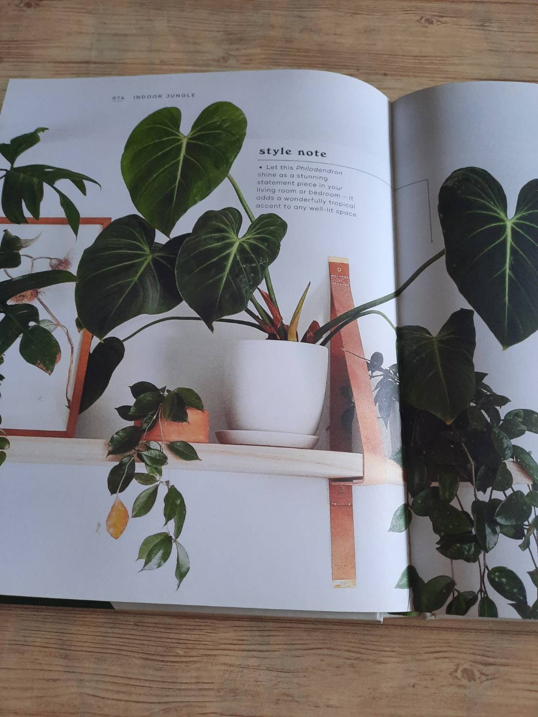 The Leaf Supply Guide to Greating Your Indoor Jungle By Lauren Comilleri + Sophia Kaplan (ปกแข็ง)