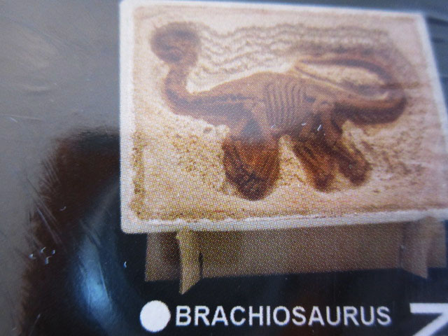 ชุดขุดฟอสซิลไดโนเสาร์(แบบแผ่นฟอสซิลตั้งโชว์) Expedition Excavation Kits