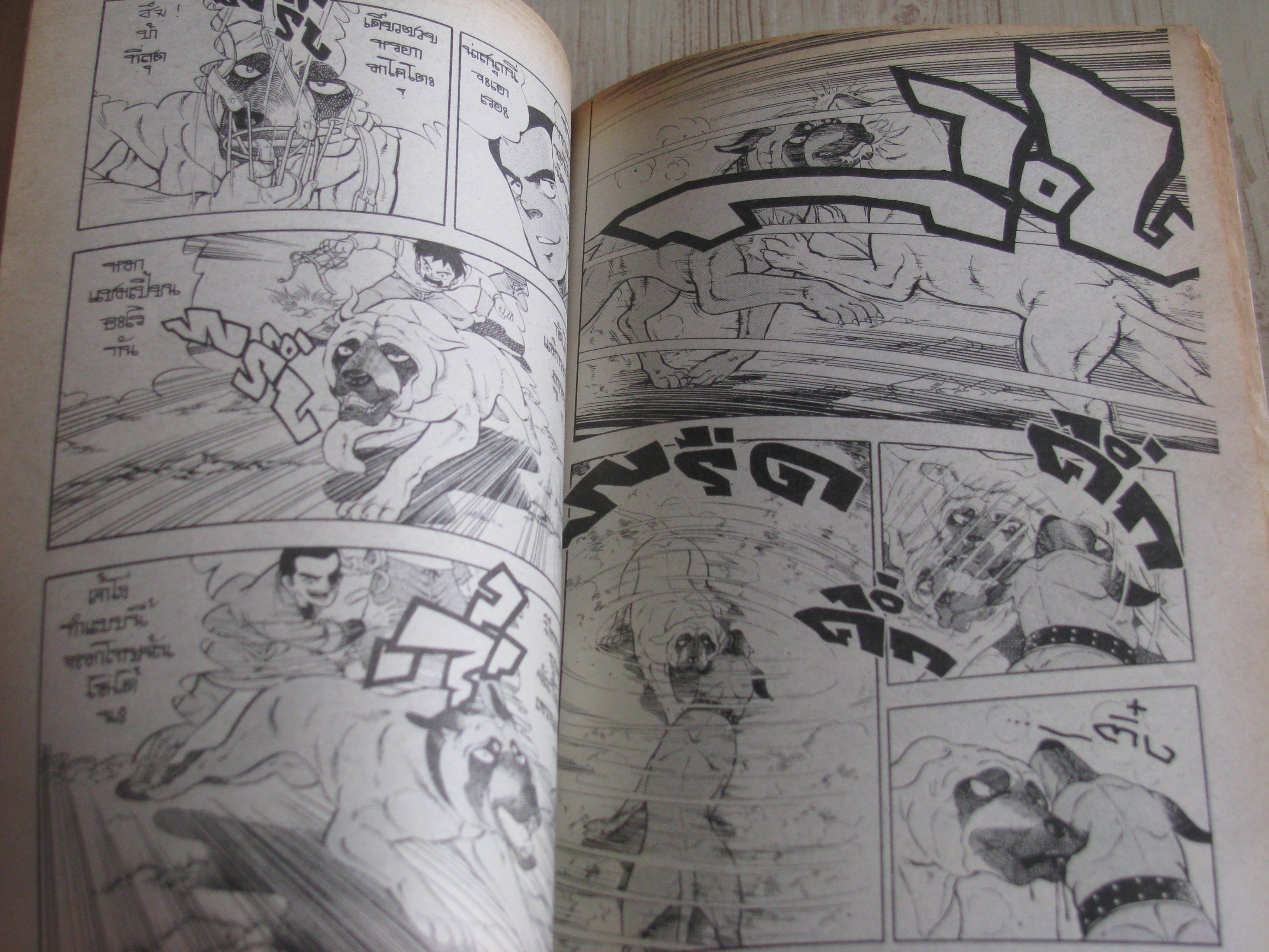 เซ่โร่ยอดนักสู้ ครบชุด 4 เล่มจบ