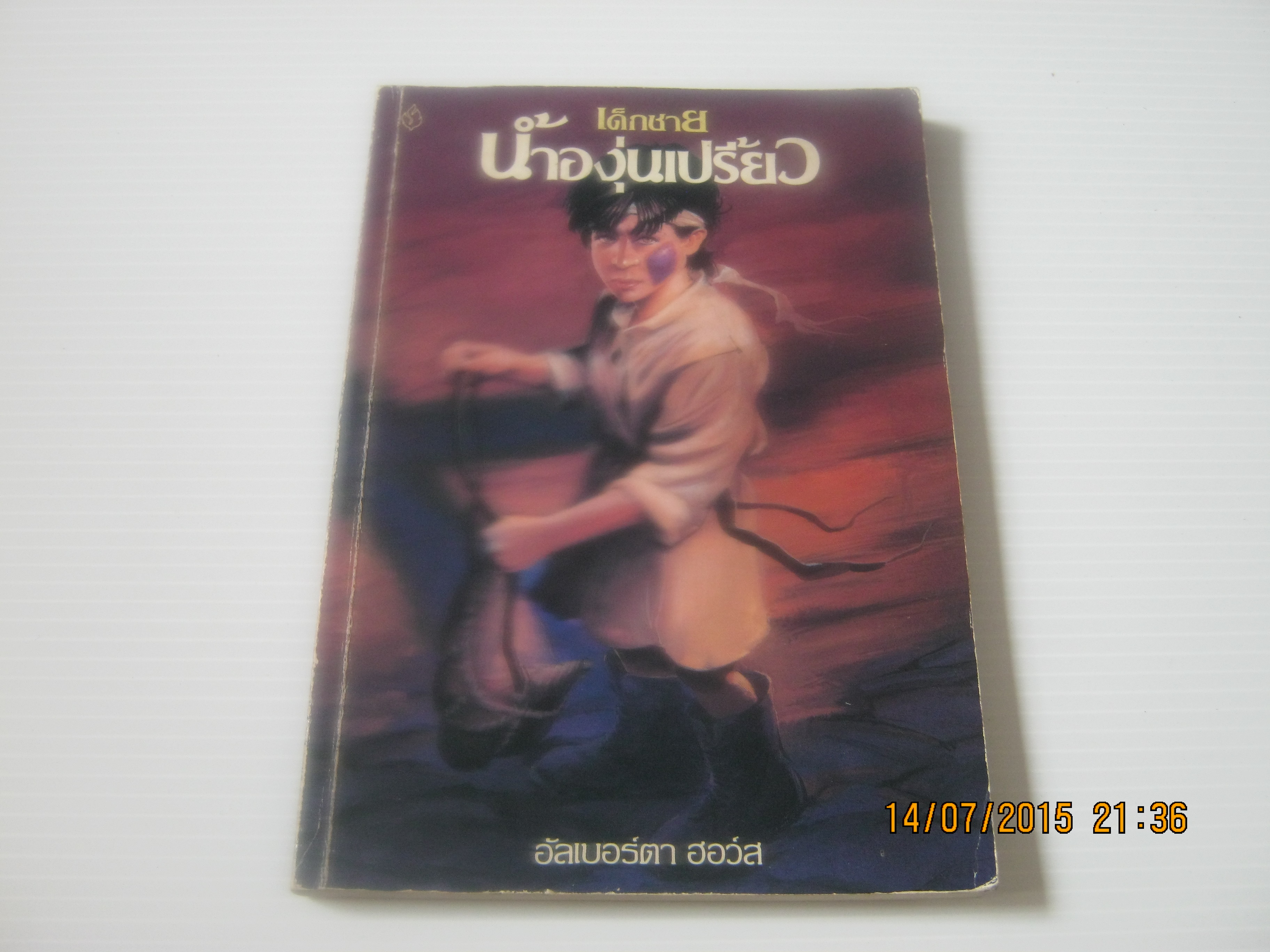 เด็กชายน้ำองุ่นเปรี้ยว (Vinegar Boy) อัลเบอร์ตา ฮอว์ส เขียน วัลลภา อรุโรทยานนท์ แปล***สินค้าหมด***