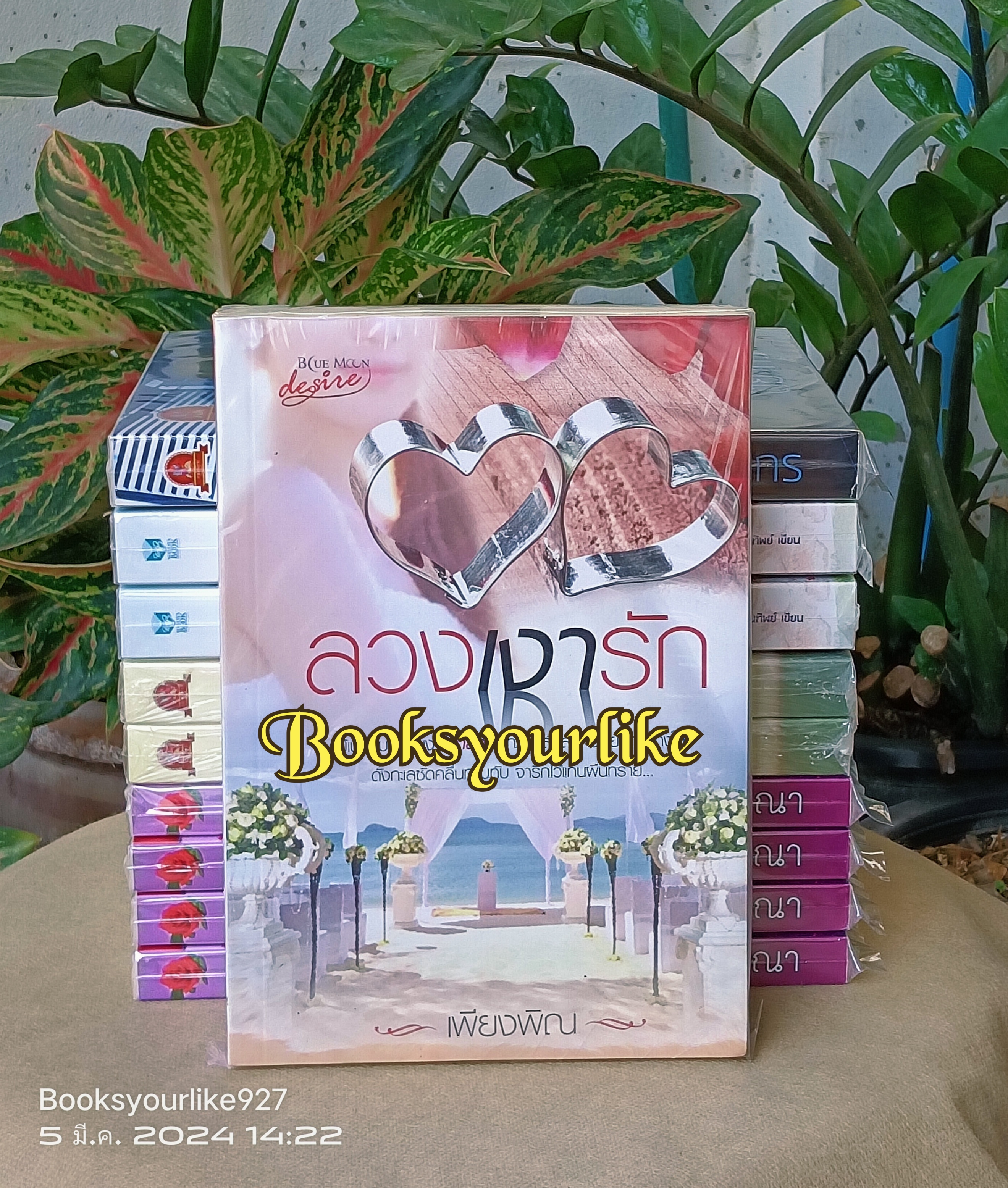 ลวงเงารัก,ผู้แต่ง,เพียงพิณ, สนพ.บลูมูน หนังสือใหม่ *** สนุกค่ะ ***