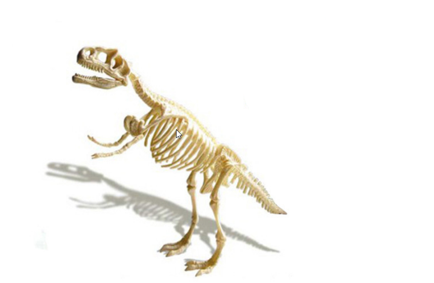 ของเล่นชุดขุดฟอสซิลโครงกระดูกไดโนเสาร์สำหรับเด็ก