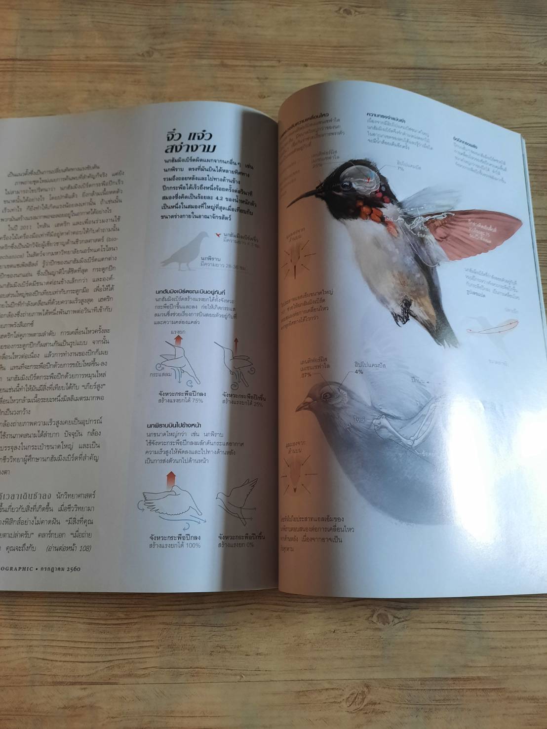 NATIONAL GEOGRAPHIC ฉบับภาษาไทย กรกฎาคม 2560 จับโกหก***สินค้าหมด***