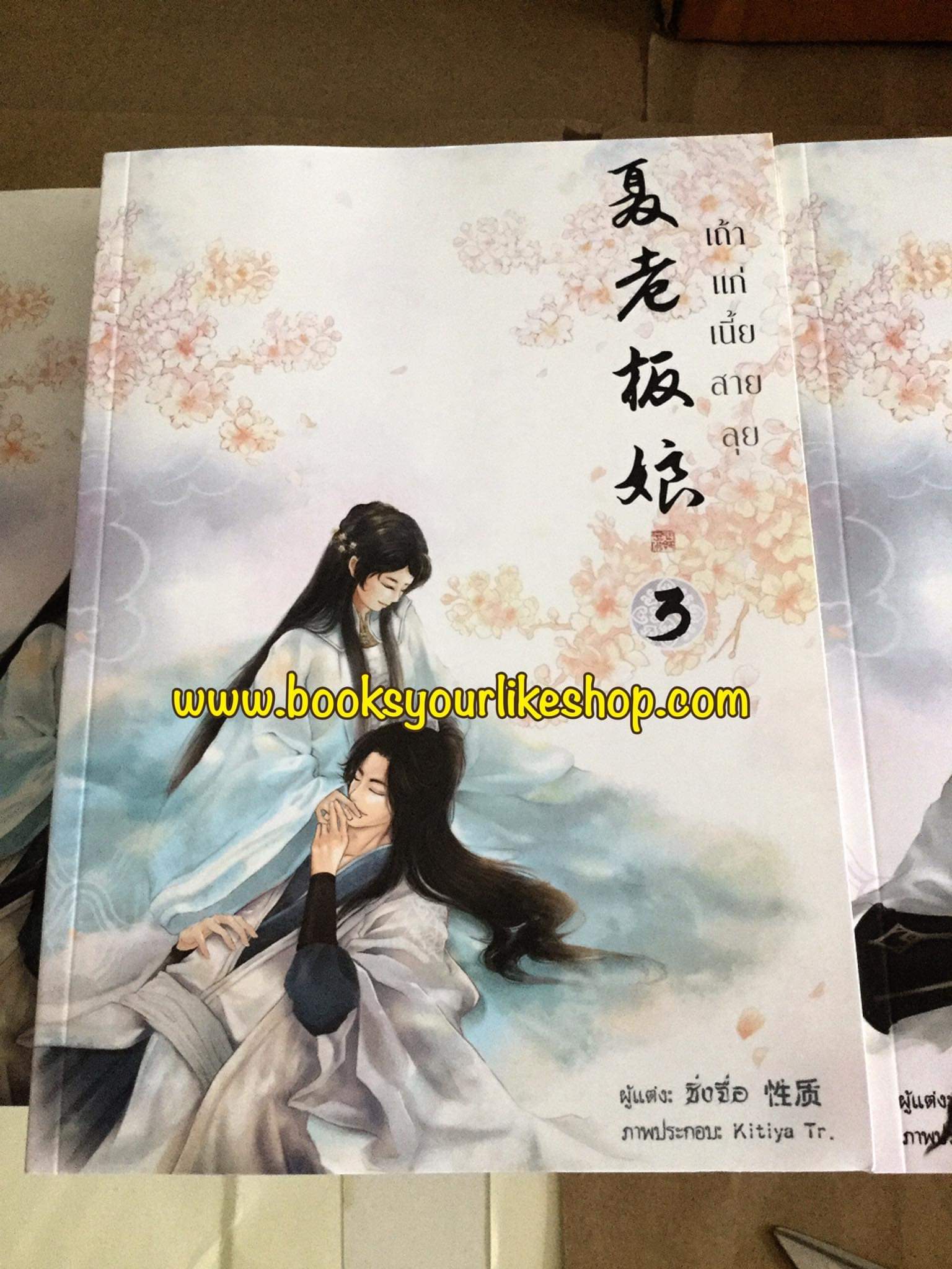 นิยายจีนชุด,เถ้าแก่เนี้ยสายลุย 3 เล่บจบ ,ผู้แต่ง,ซิ่งจื่อ,จีนโบราณทำมือ,สนุกแนะนำค่ะ