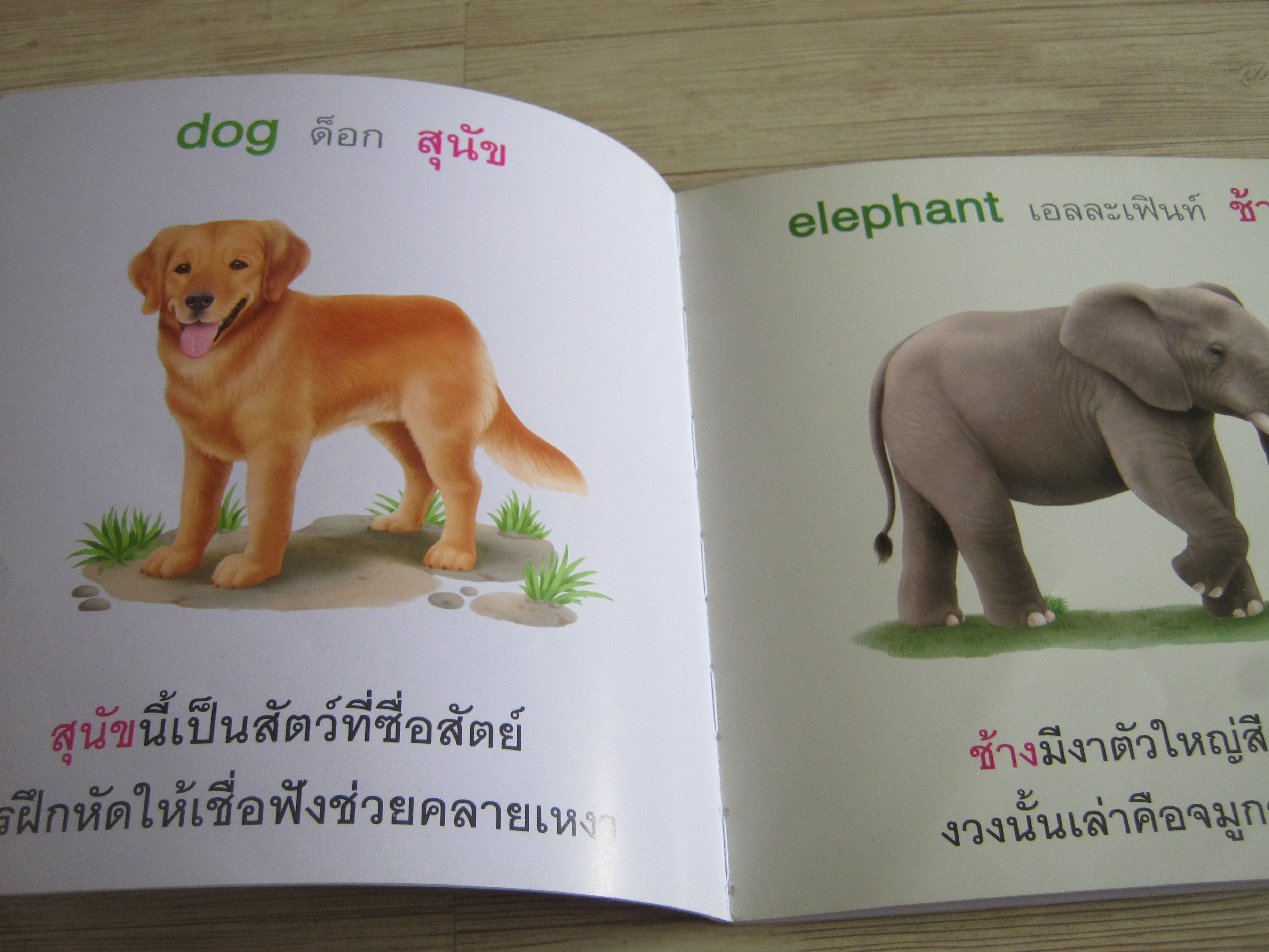 นิทานชุดเสริมความรู้เรื่องใกล้ตัว หนูชอบสัตว์น่ารัก