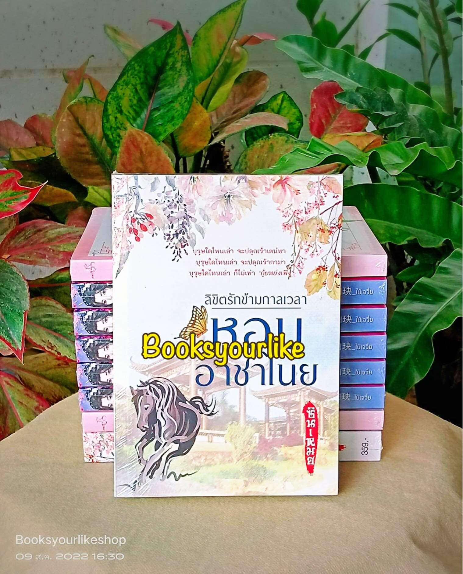 ส่งฟรี,หอมอาชาไนย,ลิขิตรักข้ามกาลเวลา,ผู้แต่ง,ซินเหมย ,ณศิกมล หนังสือใหม่ทำมือ***สนุกคะ***