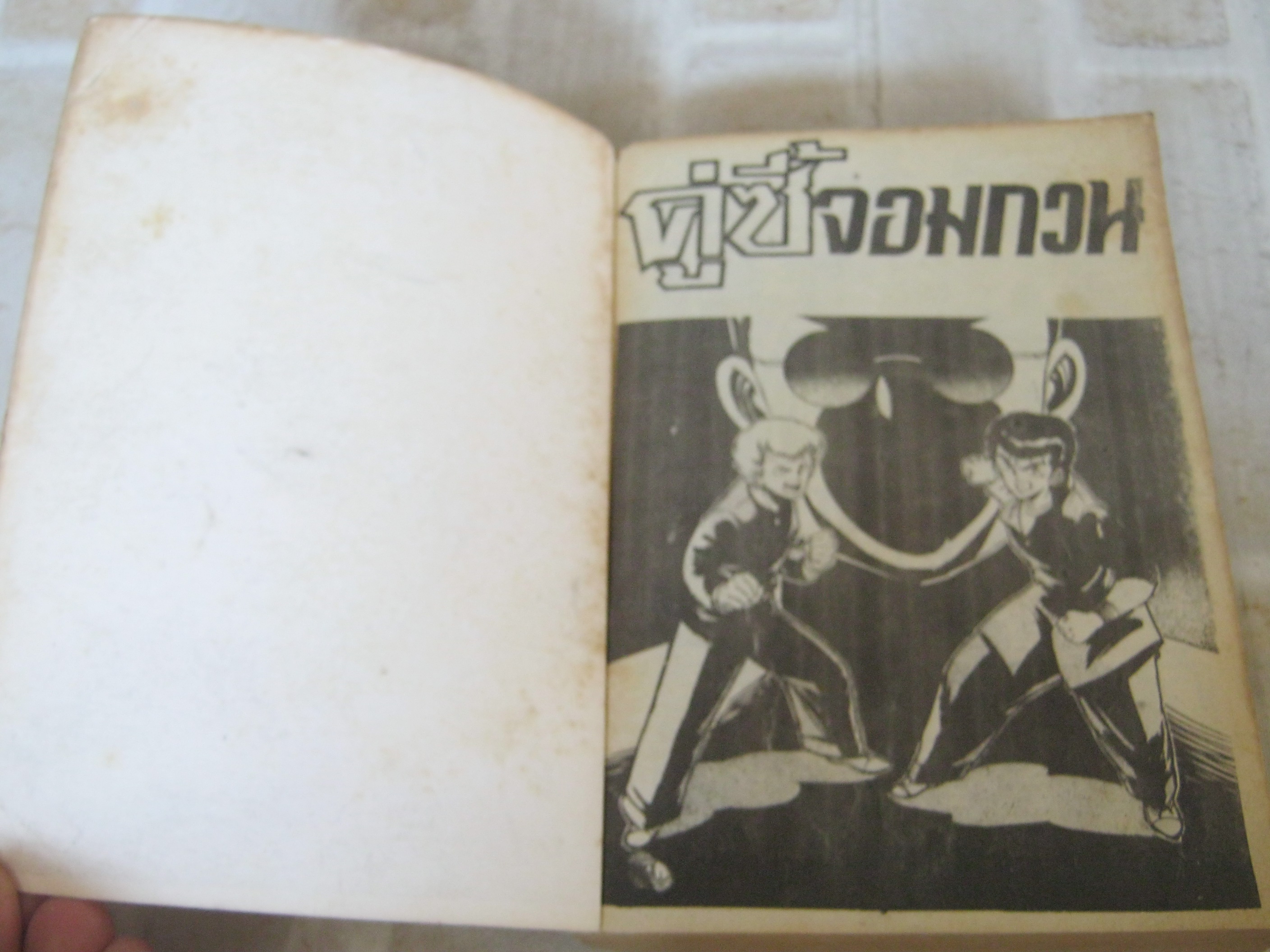 คู่ซี้จอมกวน เล่มเดียวจบ