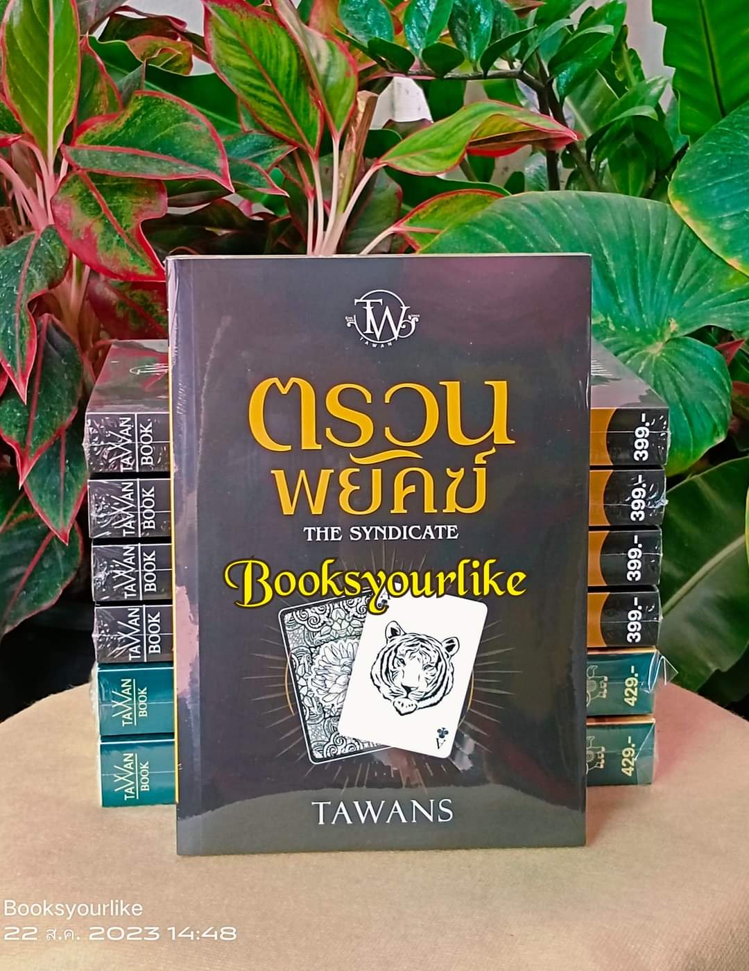 ตรวนพยัคฆ์,ผู้แต่ง,TAWAN,ตะวัน,นิยายโรมานซ์ สนุกแนะนำค่ะ