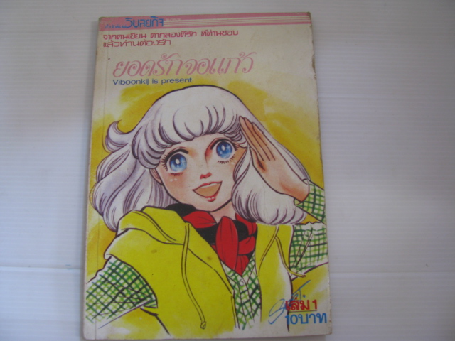 ยอดรักจอแก้ว เล่ม 1 ซึบาตะ อายูโกะ เขียน***สินค้าหมด***
