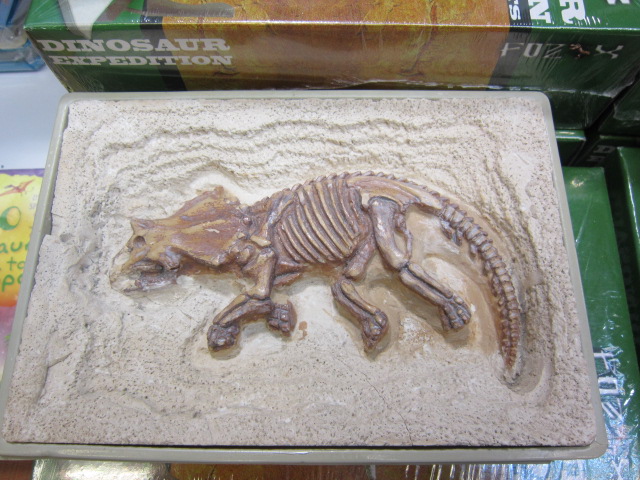 ชุดขุดฟอสซิลไดโนเสาร์(แบบแผ่นฟอสซิลตั้งโชว์) Expedition Excavation Kits