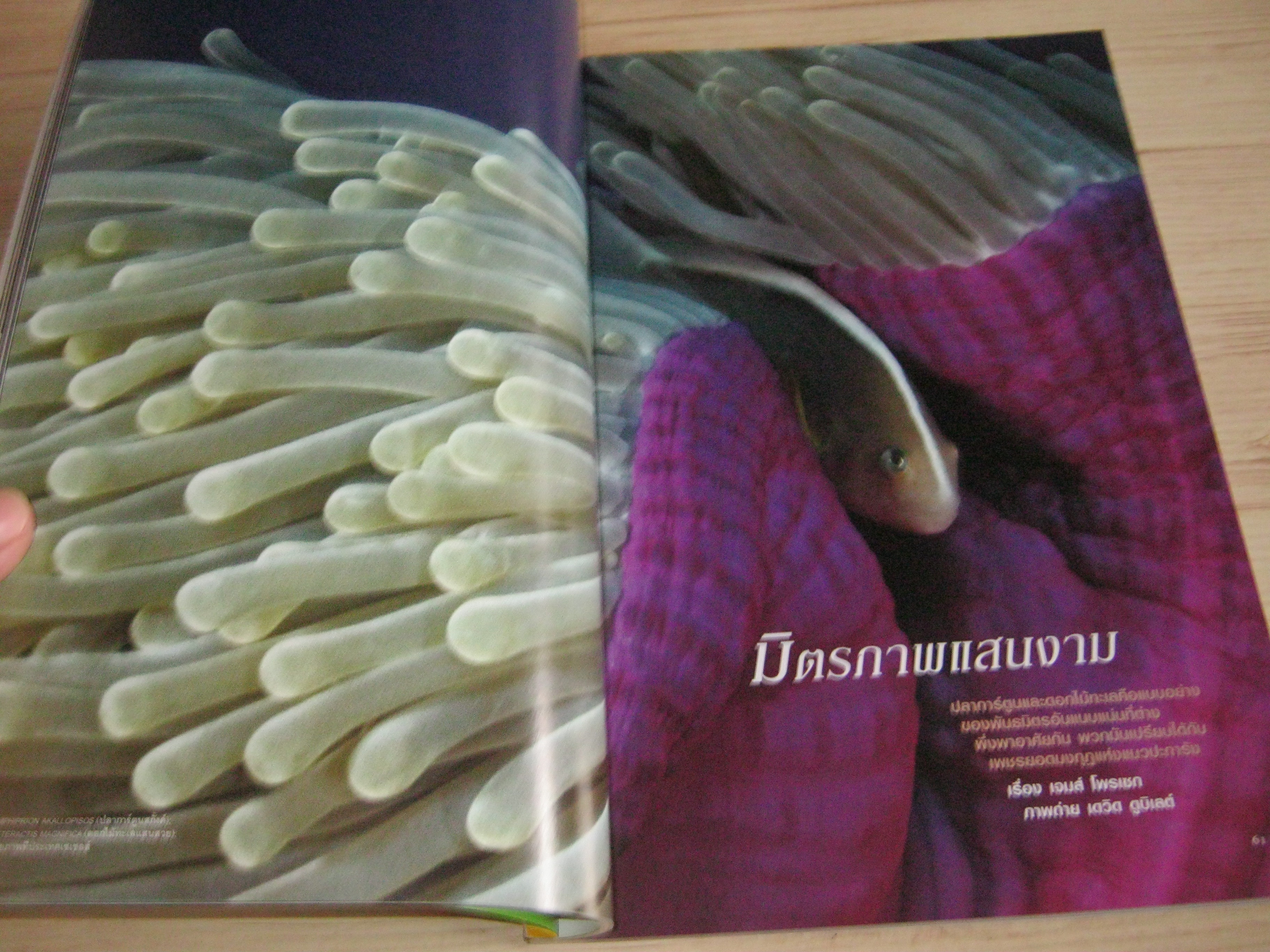 NATIONAL GEOGRAPHIC ฉบับภาษาไทย มกราคม 2553 กรุงเทพฯ 24 ชั่วโมง