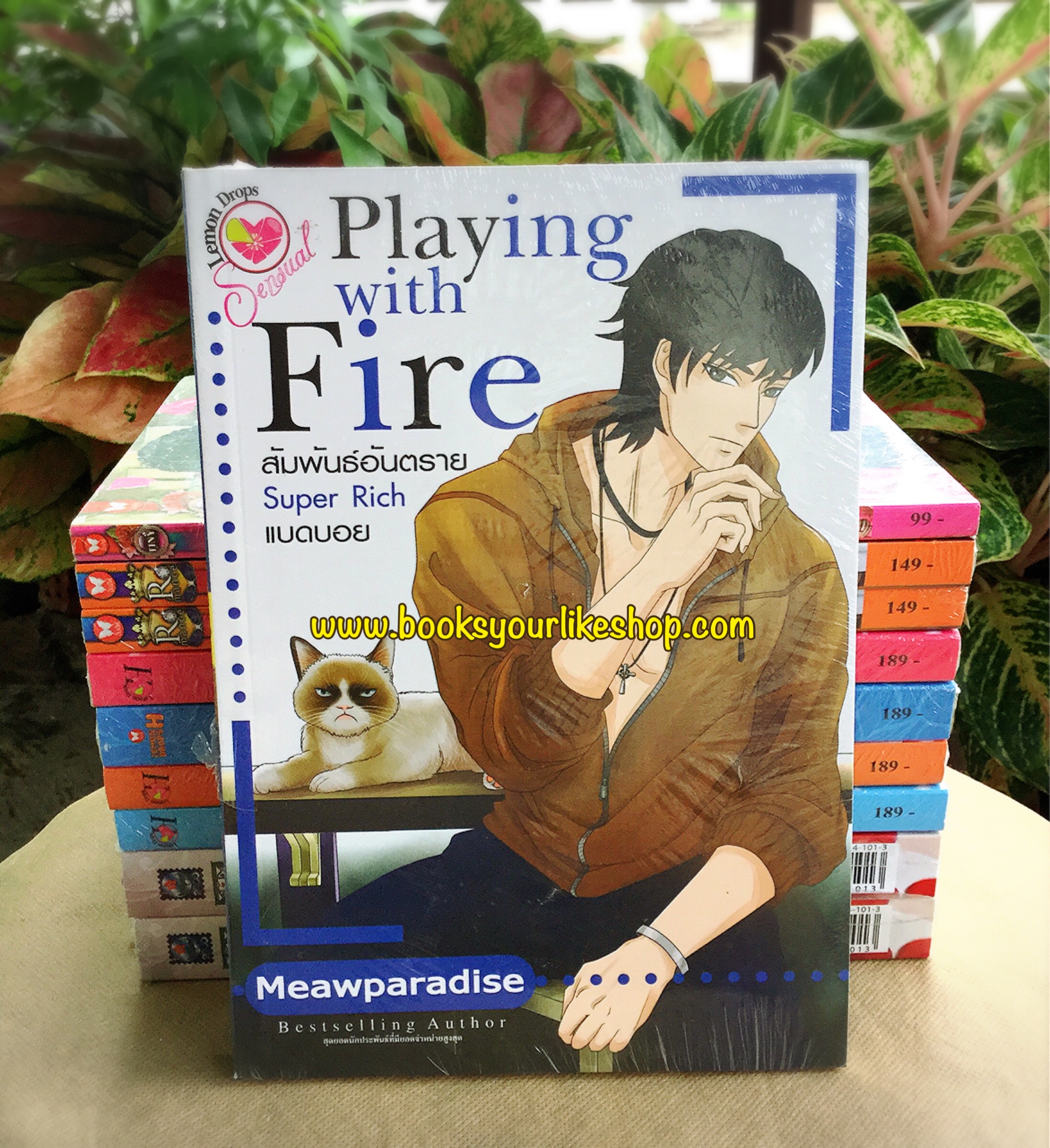 Playing with Fire สัมพันธ์อันตราย Super Rich แบดบอย / Meawparadise อินเลิฟ หนังสือใหม่