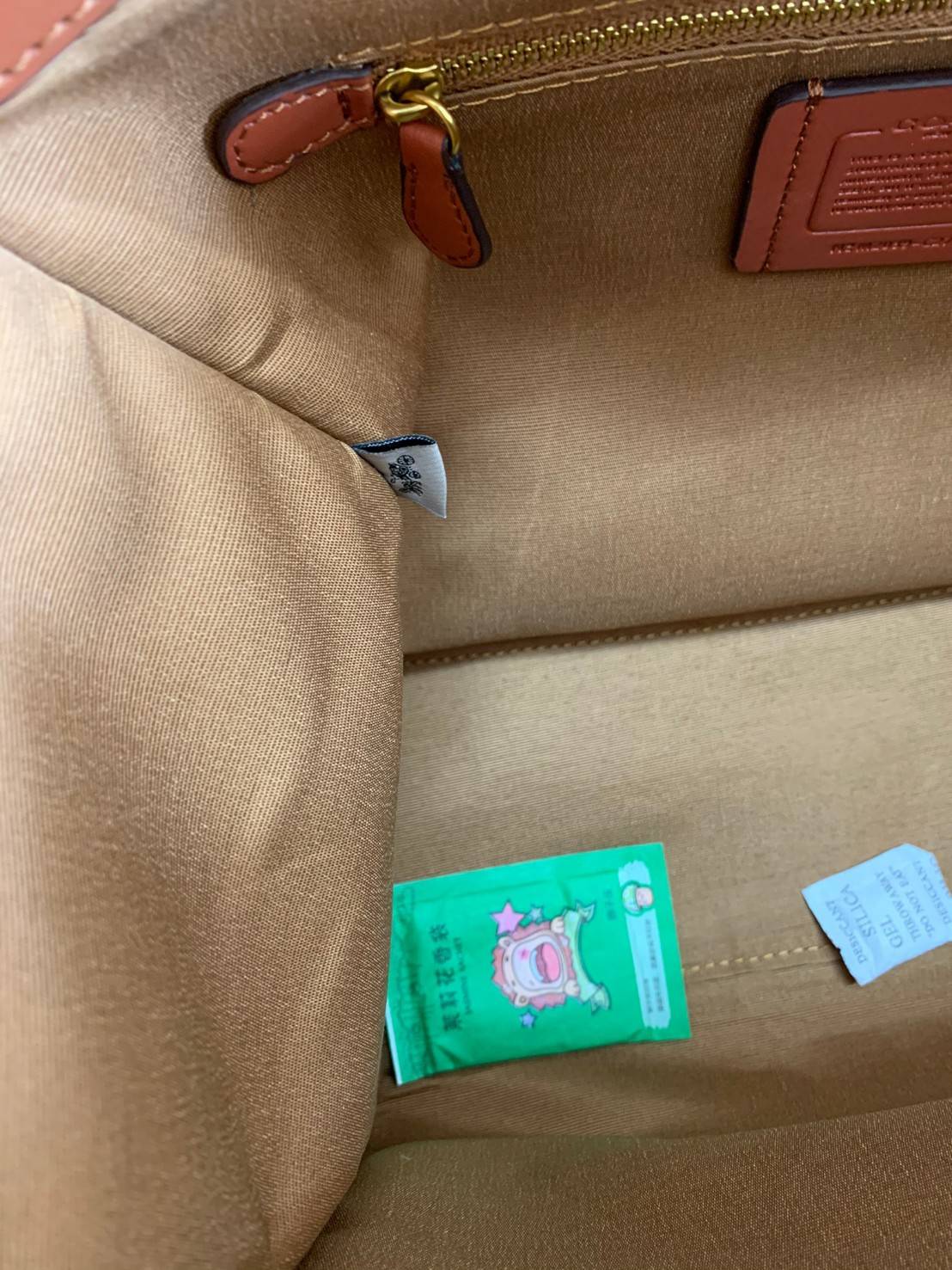 COACH Garden Embroidery women's square tote bag LIMITED EDITION COACH X HBC COLLECTION