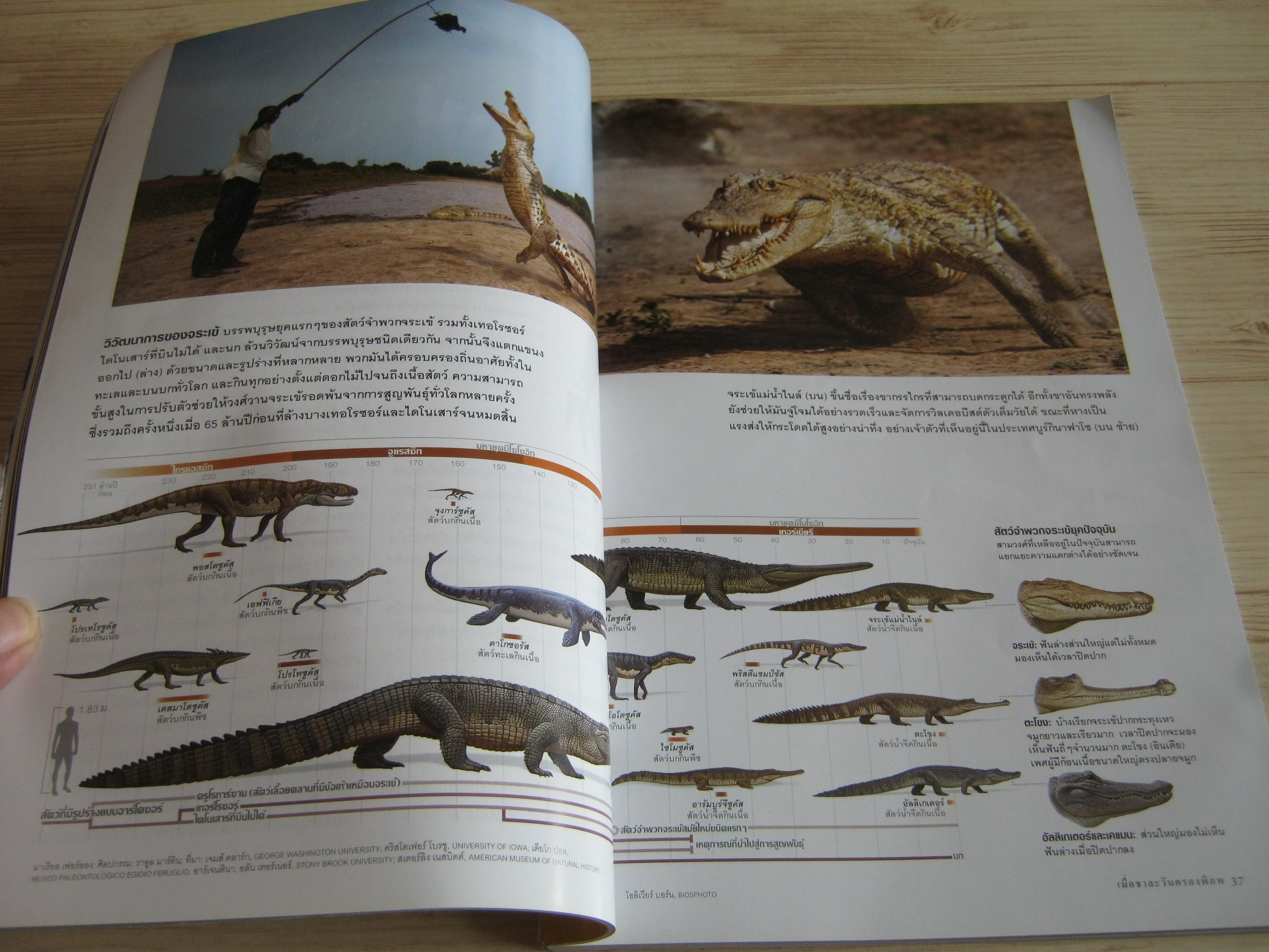 NATIONAL GEOGRAPHIC ฉบับภาษาไทย มีนาคม 2553 เมื่อชาละวันครองพิภพ