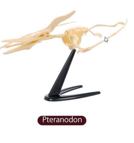 ของเล่นชุดขุดฟอสซิลโครงกระดูกไดโนเสาร์สำหรับเด็ก