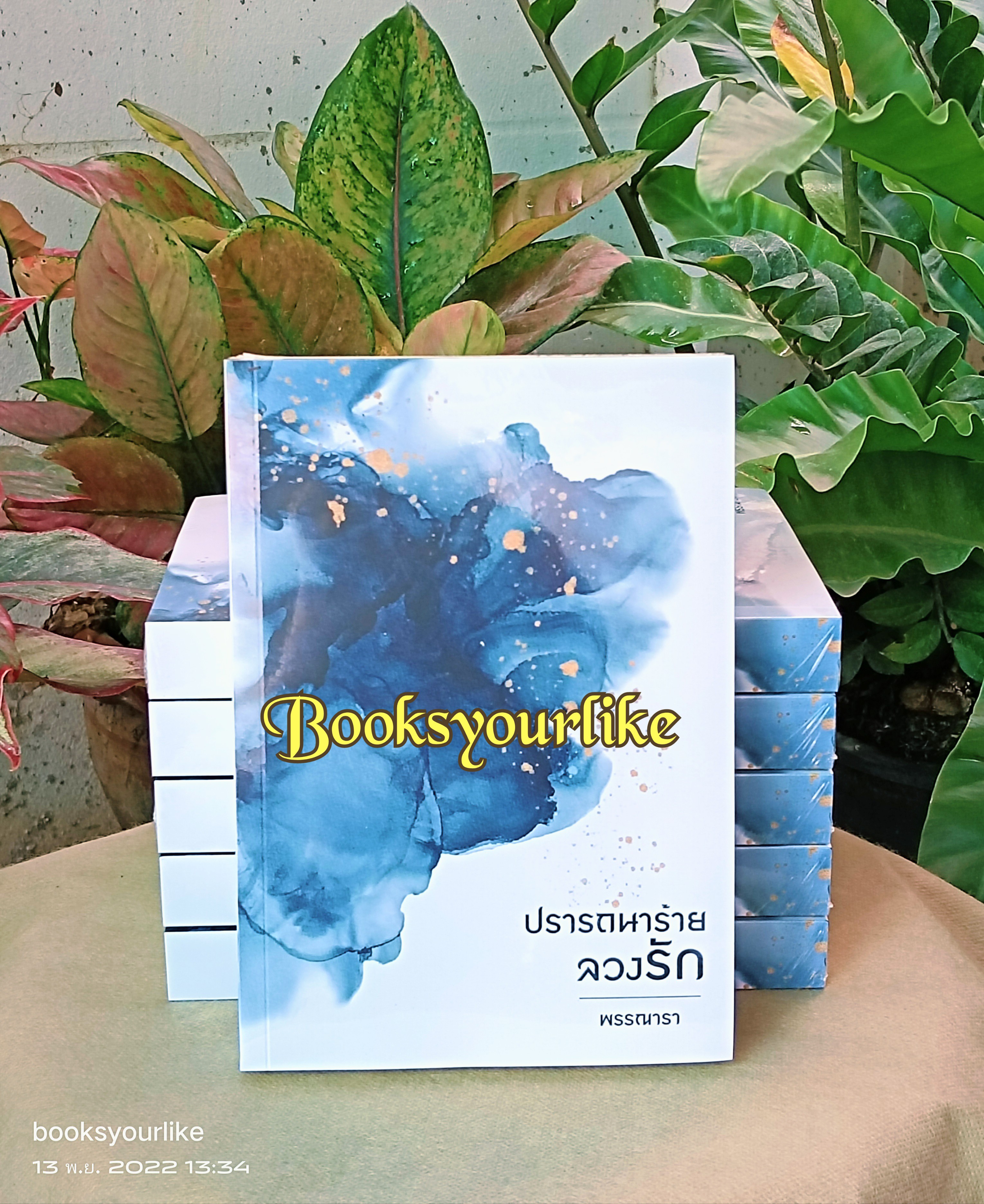 ปรารถนาร้ายลวงรัก ปกใหม่ เพิ่มตอนพิเศษ,ผู้แต่ง,พรรณารา,นิยายรักทำมือ