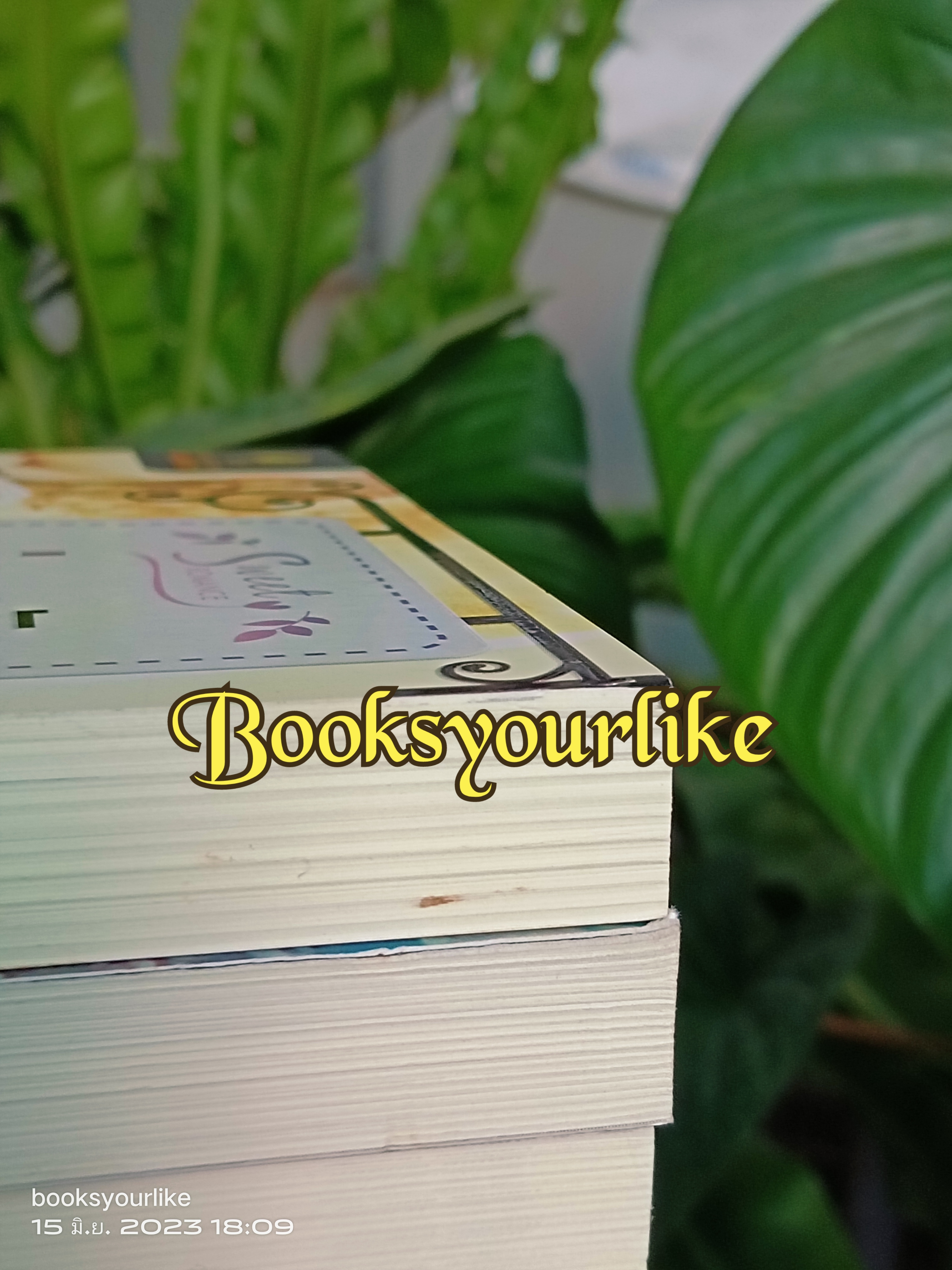 บ่วงรักปรายใจ มีตำหนิ ,ผู้แต่ง ,รัตมา ใหม่ ไม่มีซีล ***มีตำหนิ***