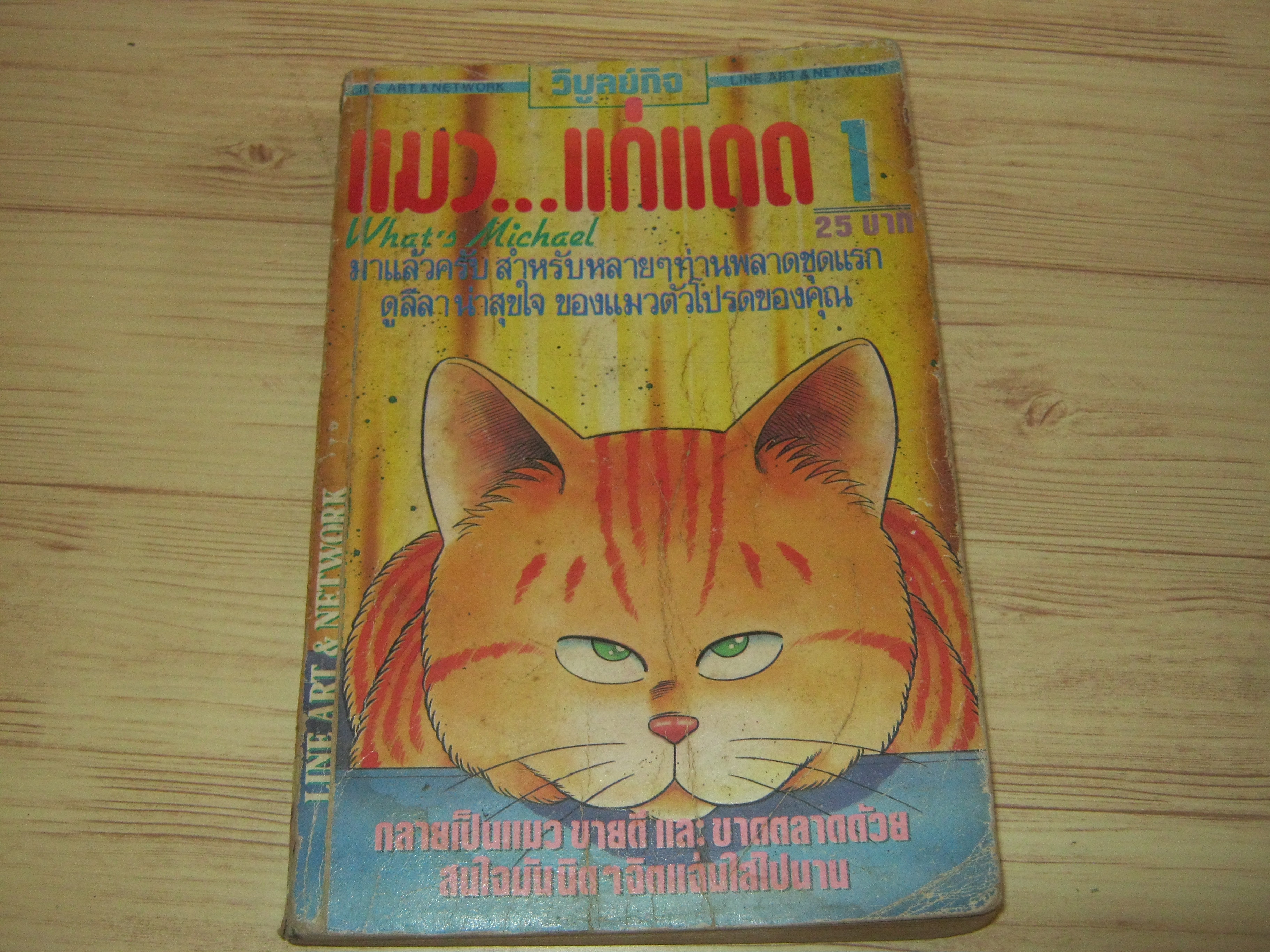 แมวแก่แดด เล่ม 1***สินค้าหมด***