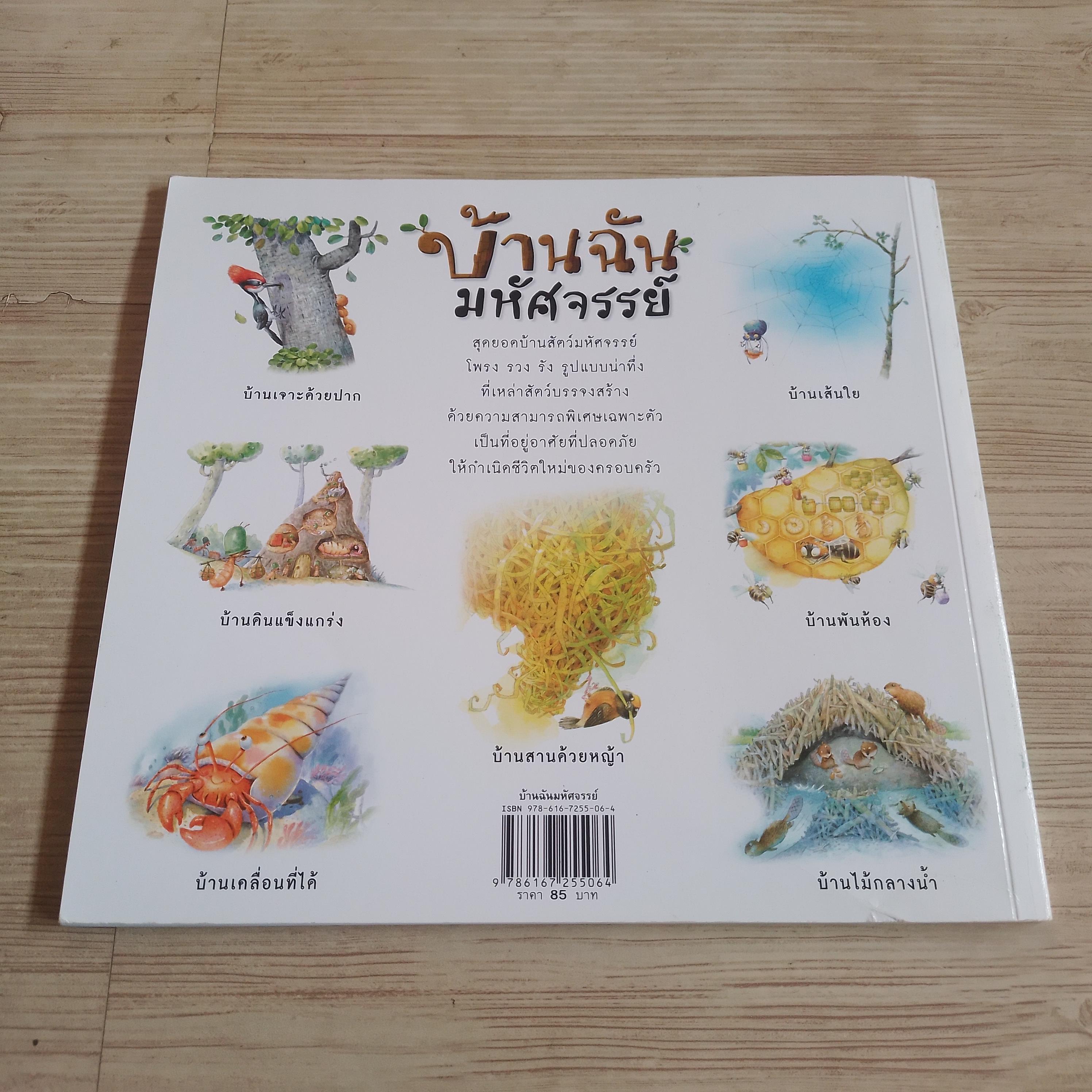 หนังสือชุดวิทยาศาสตร์รุ่นเยาว์ แปลกแต่จริง บ้านฉันมหัศจรรย์ โกศล ทองด้วงและคณะ ภาพ