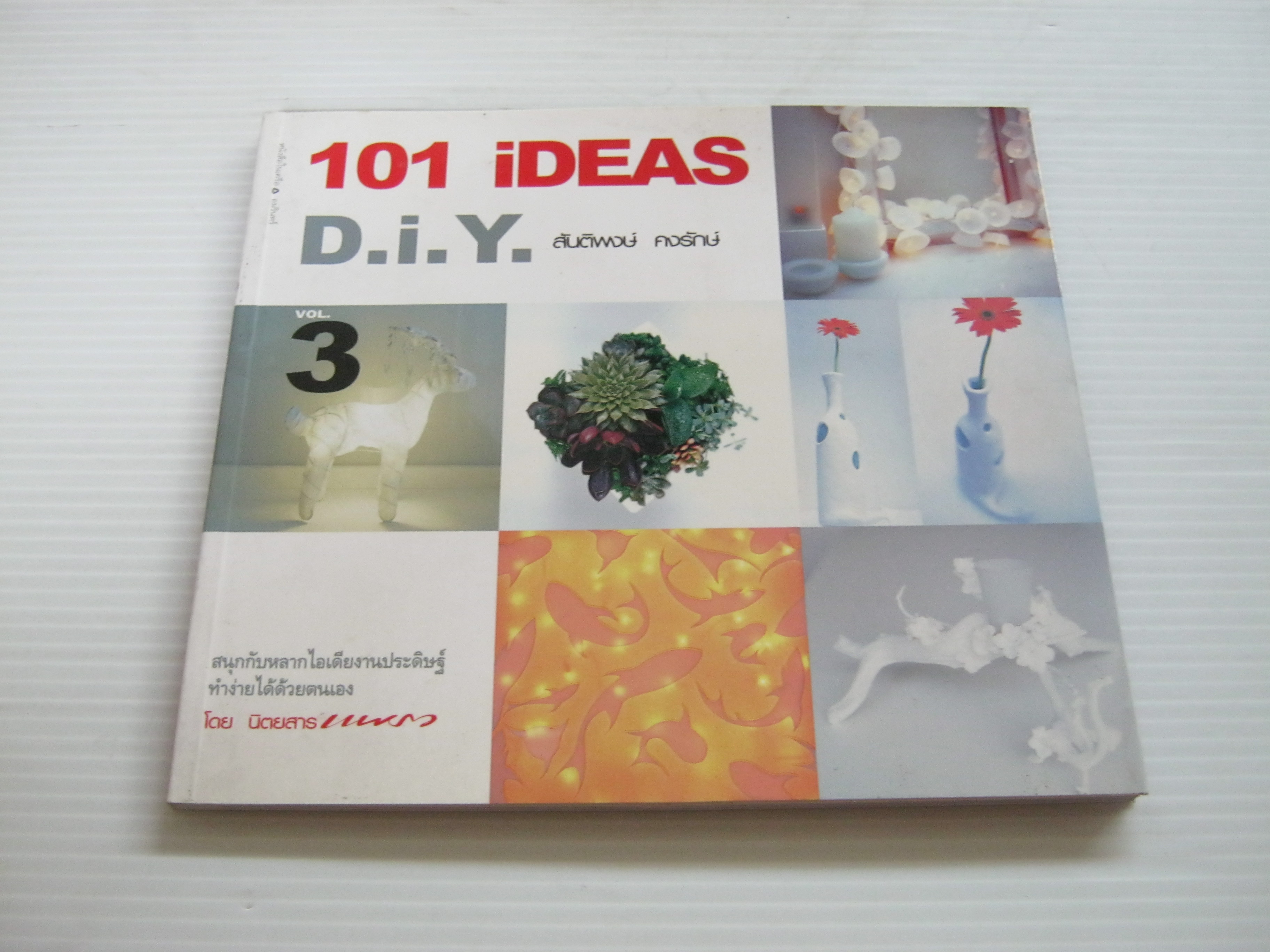 101 Ideas DIY vol.3 โดย สันติพงษ์ คงรักษ์