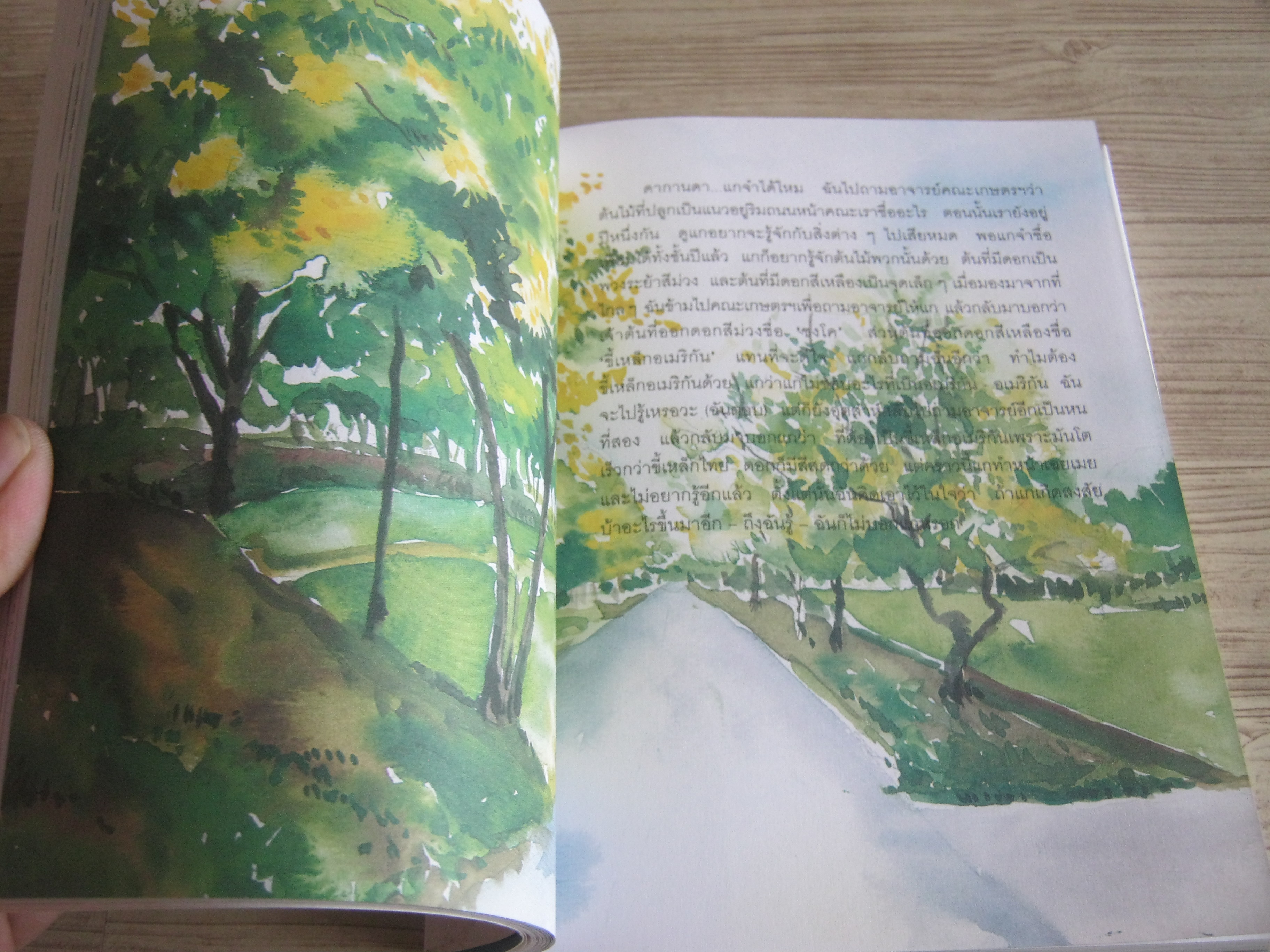 กล่องไปรษณีย์สีแดง อภิชาติ เพชรลีลา เขียน (มีตำหนินิดหน่อย ดูรูปด้านในค่ะ)