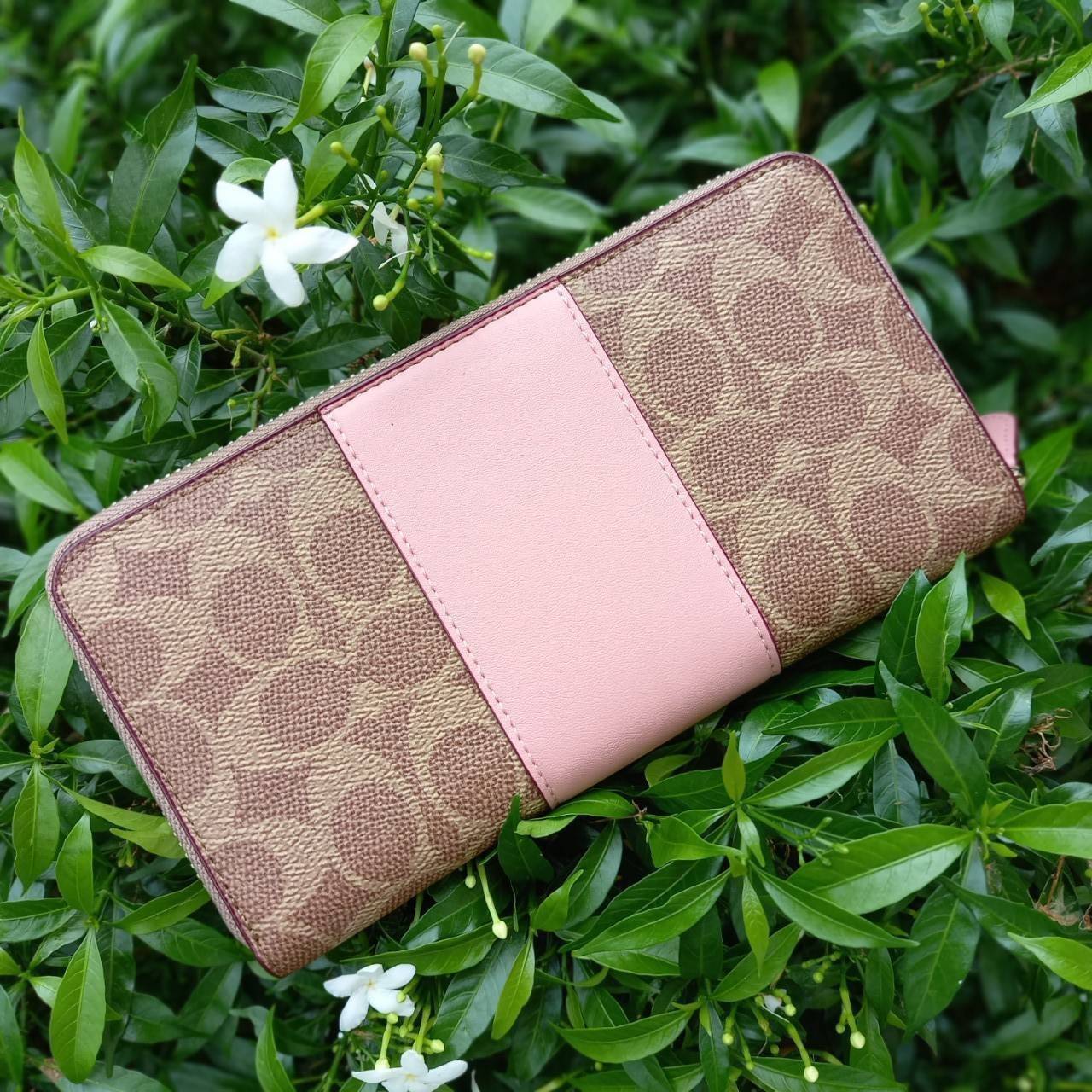 มาเท่าไหรก็ไม่เคยพอจริงๆ มีความต้องการกันถึงขีดสุด❣️😘>>COACH ACCORDION ZIP WALLET IN COLORBLOCK SIGNATURE CANVAS (COACH 31546)🍁กระเป๋าสตางค์ใบยาว ซิปรอบ //วัสดุหนังแคนวาสสลับหนังแท้ ดีไซน์สวย โดดเด่นลงตัวเป็นที่สุด ด้านในมีช่อ