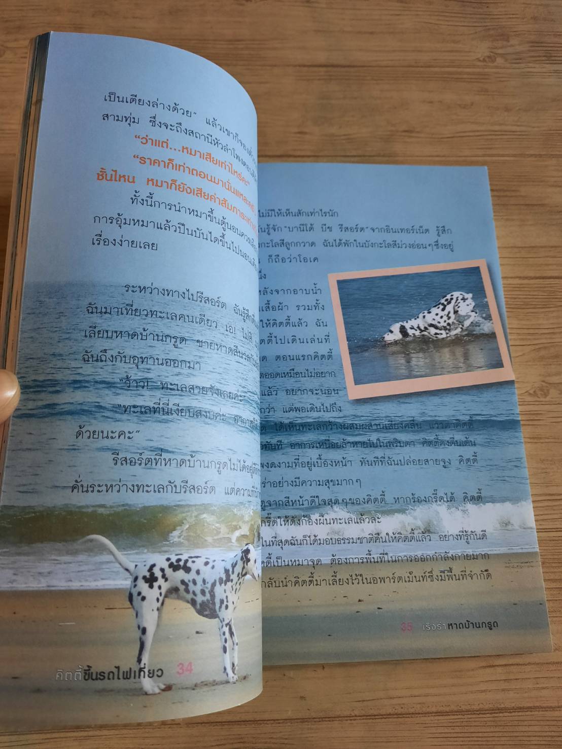 คิตตี้ขึ้นรถไฟเที่ยว นอร่า คาราอัน เขียน