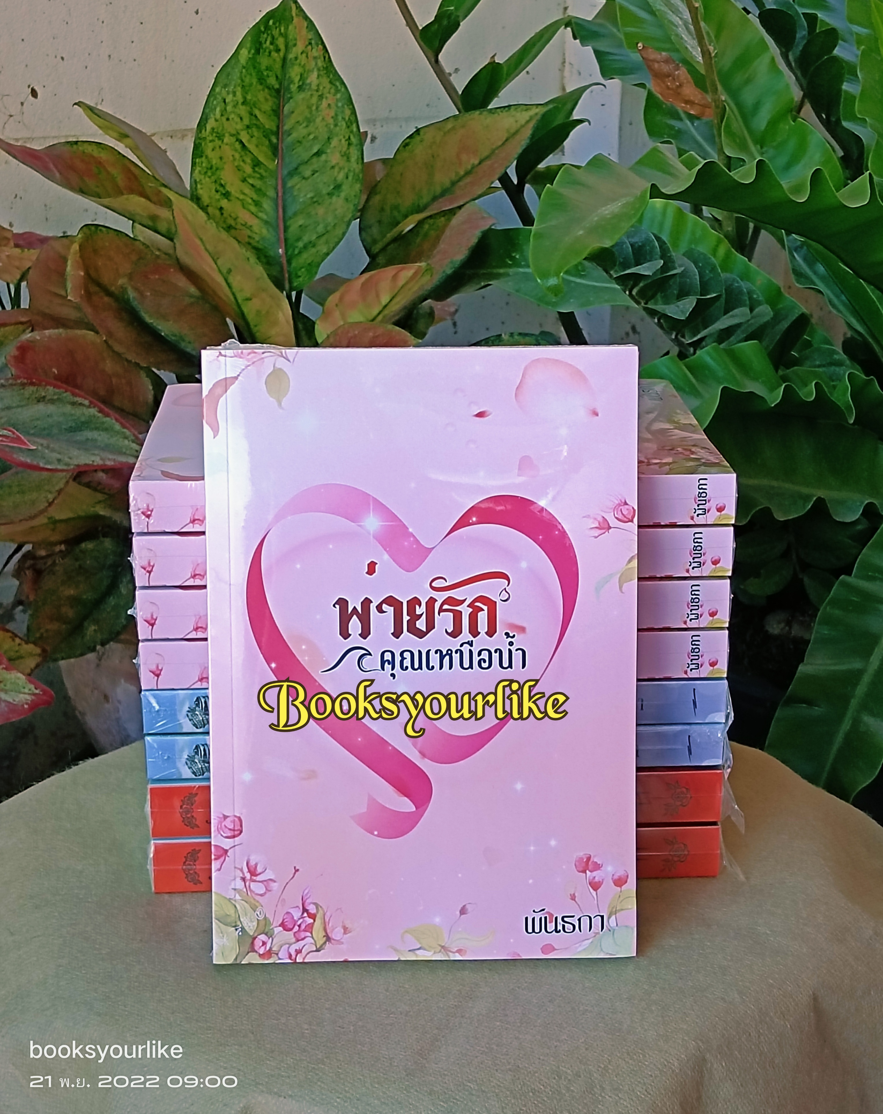 พ่ายรักคณเหนือน้ำ,ผู้แต่ง,พันธกา,นิยายรักทำมือ