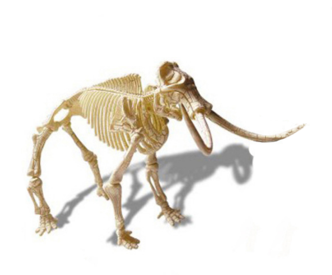 ของเล่นชุดขุดฟอสซิลโครงกระดูกไดโนเสาร์สำหรับเด็ก