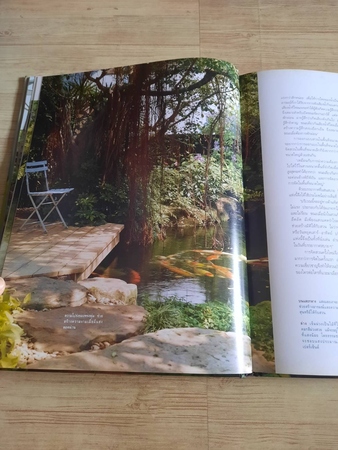 สวนในบ้าน เล่ม 12 สวนขนาดเล็ก พิมพ์ครั้งที่ 7 โดย กองบรรณาธิการสำนักพิมพ์บ้านและสวน