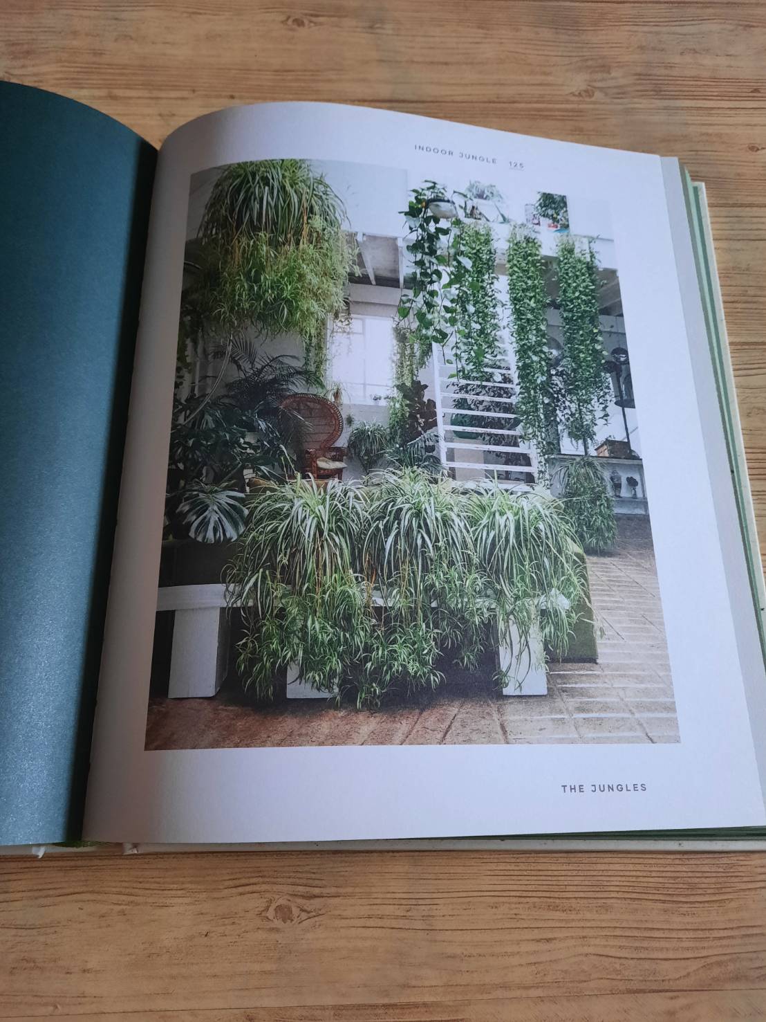 The Leaf Supply Guide to Greating Your Indoor Jungle By Lauren Comilleri + Sophia Kaplan (ปกแข็ง)