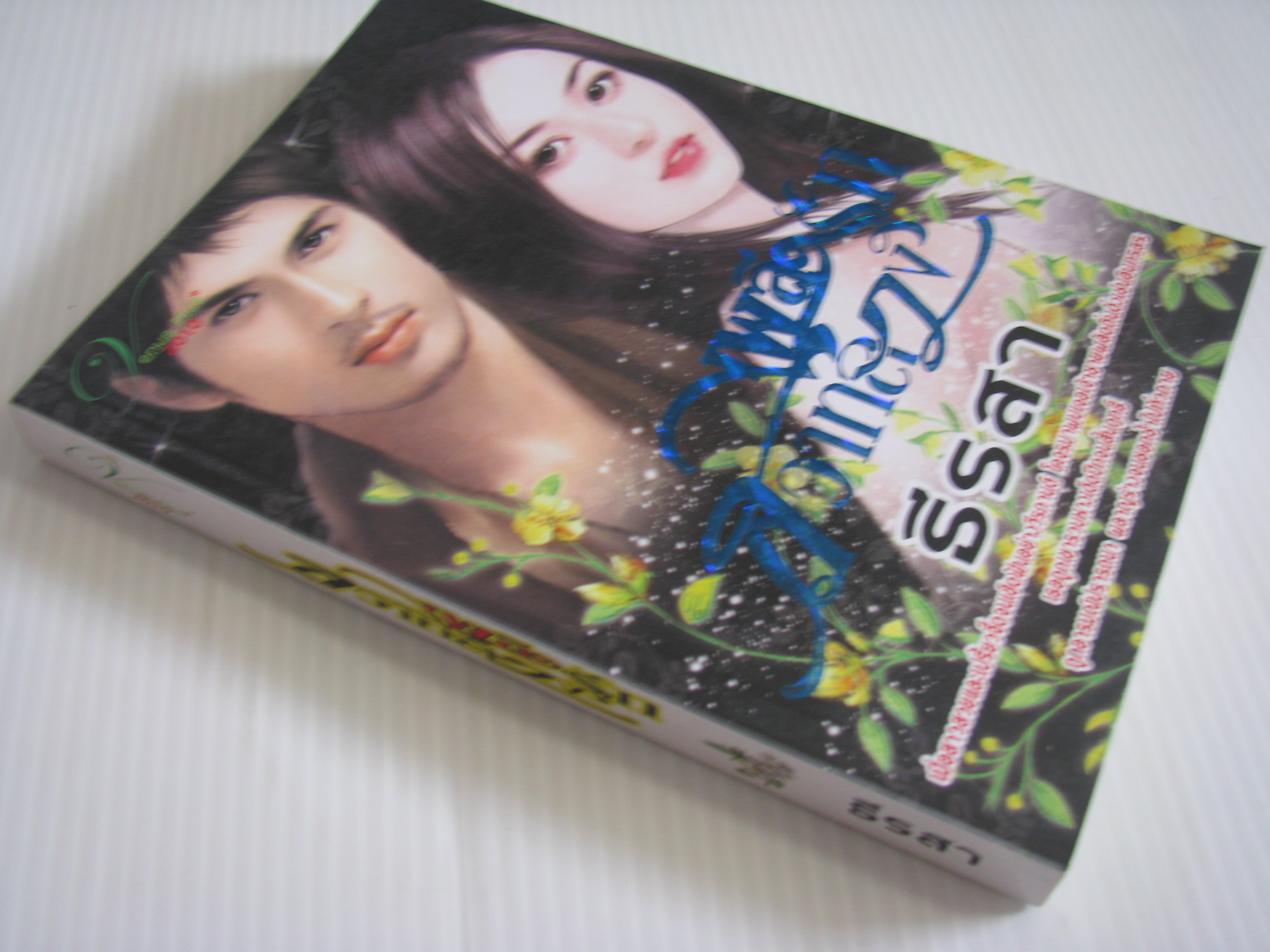 เพลิงรักสวาทลวง ธีรสา เขียน