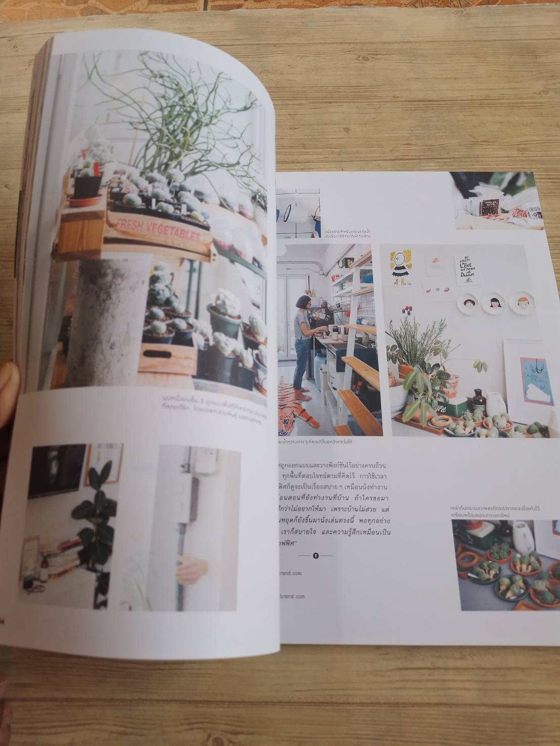 my home ฉบับที่ 100 Dec-Jan 2019 10 เครื่องใช้ไฟฟ้าขวนรู้ก่อนซ็อป