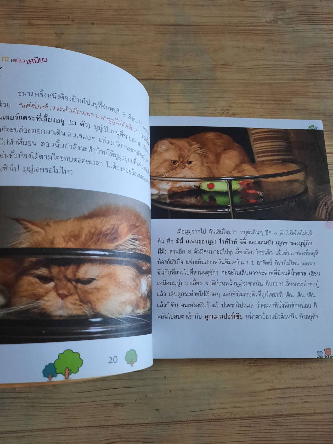 มาม่ากะเหมียวเหมียว หม่ามี้ของม่าเหมียว เขียน